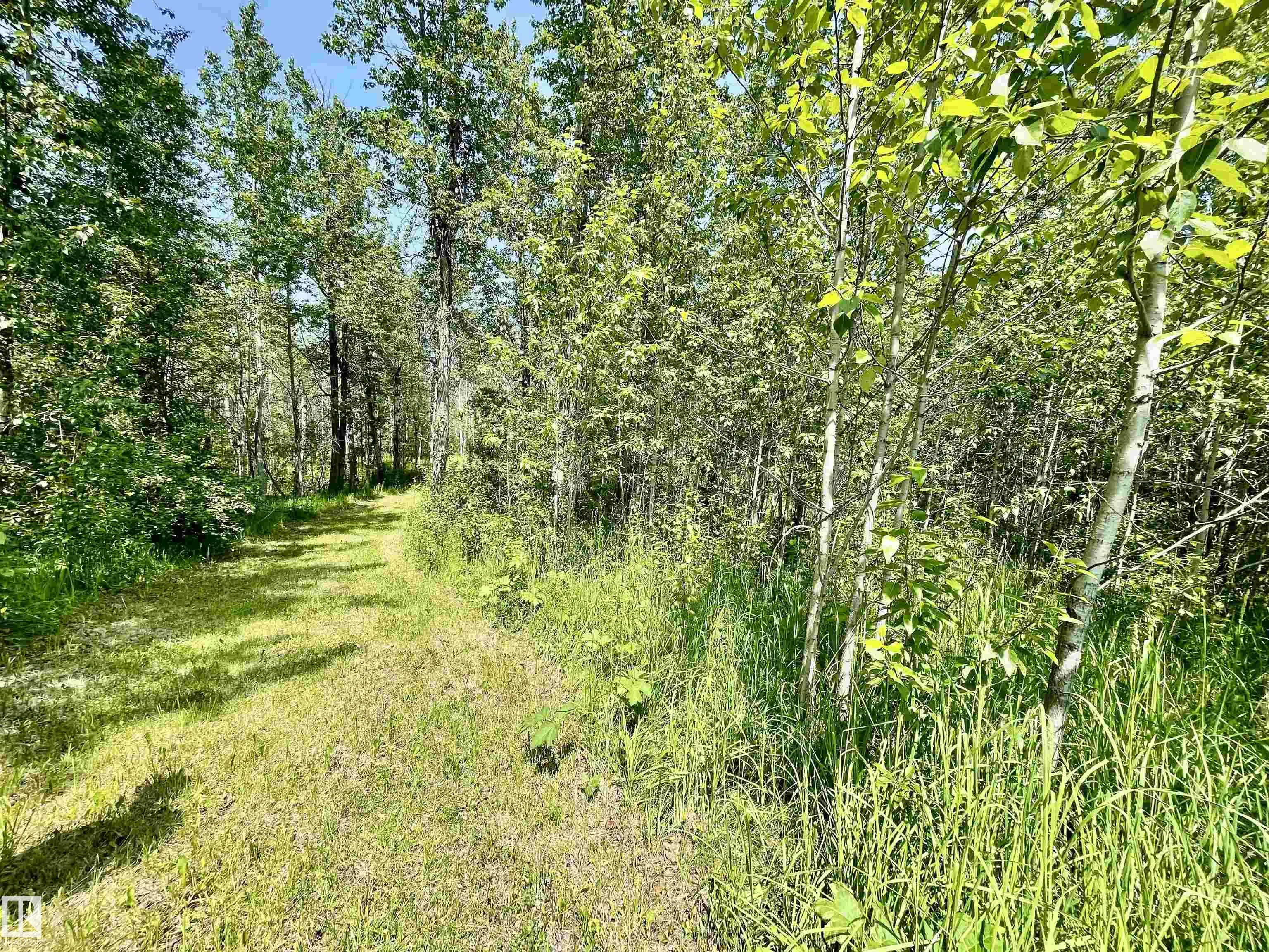 453041 HWY 771