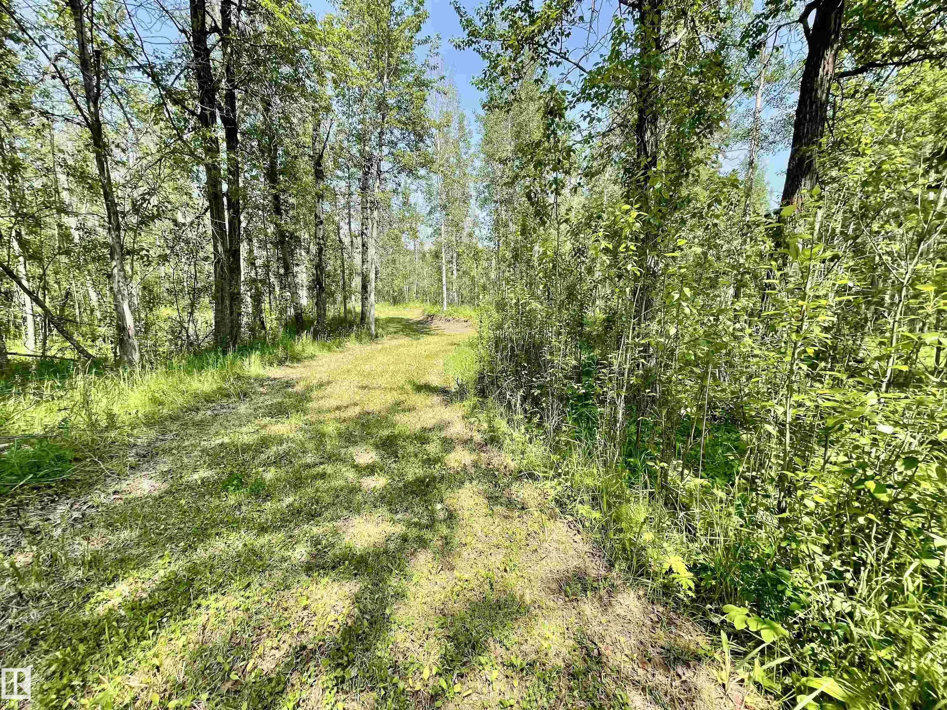 453041 HWY 771