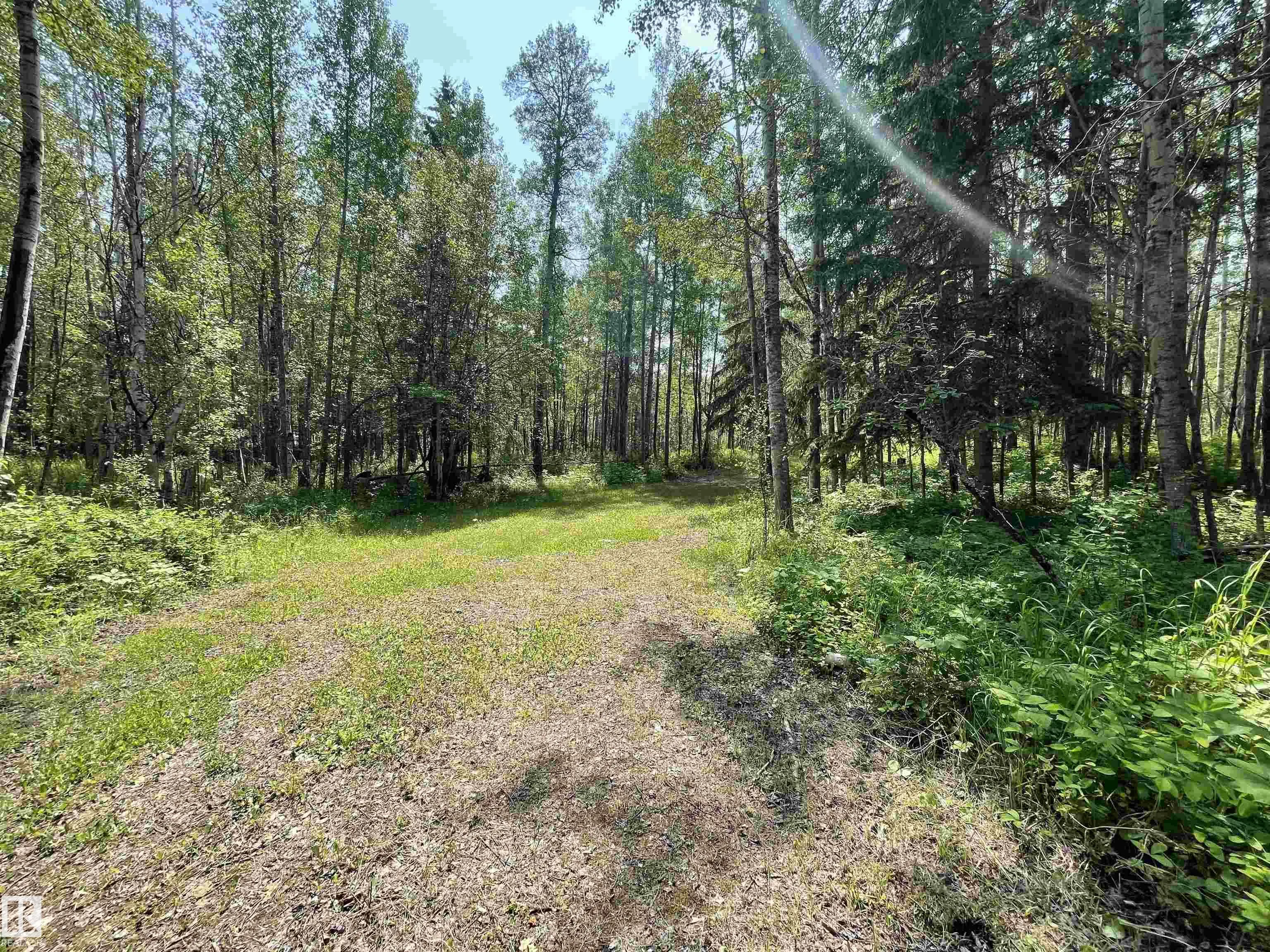 453041 HWY 771