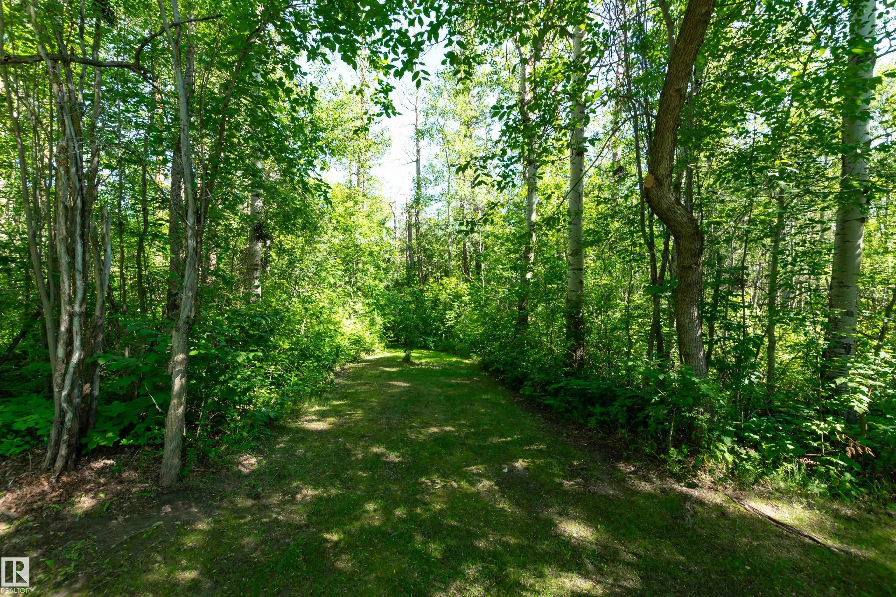 22559 WYE Road