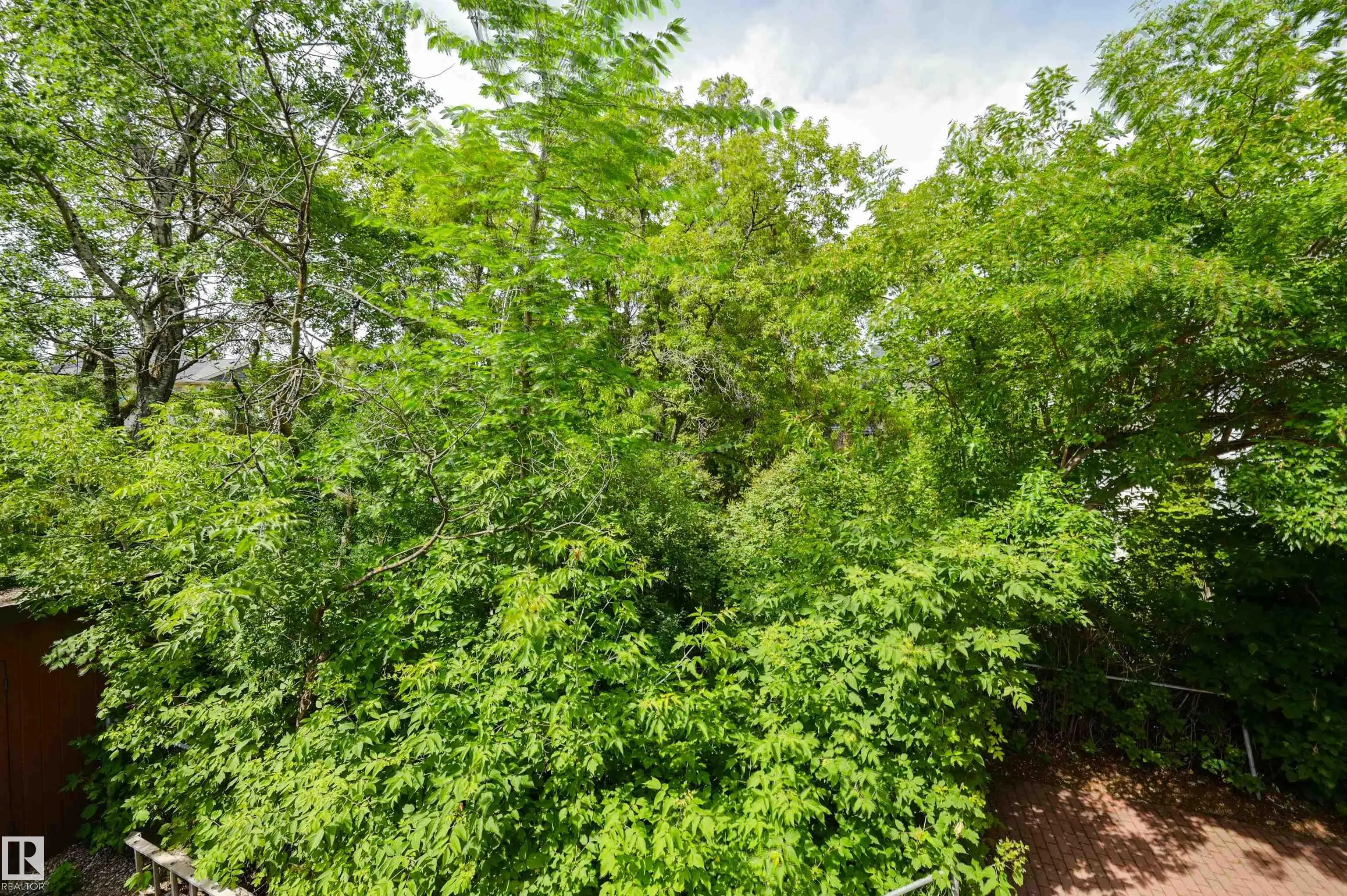 14232 RAVINE Drive