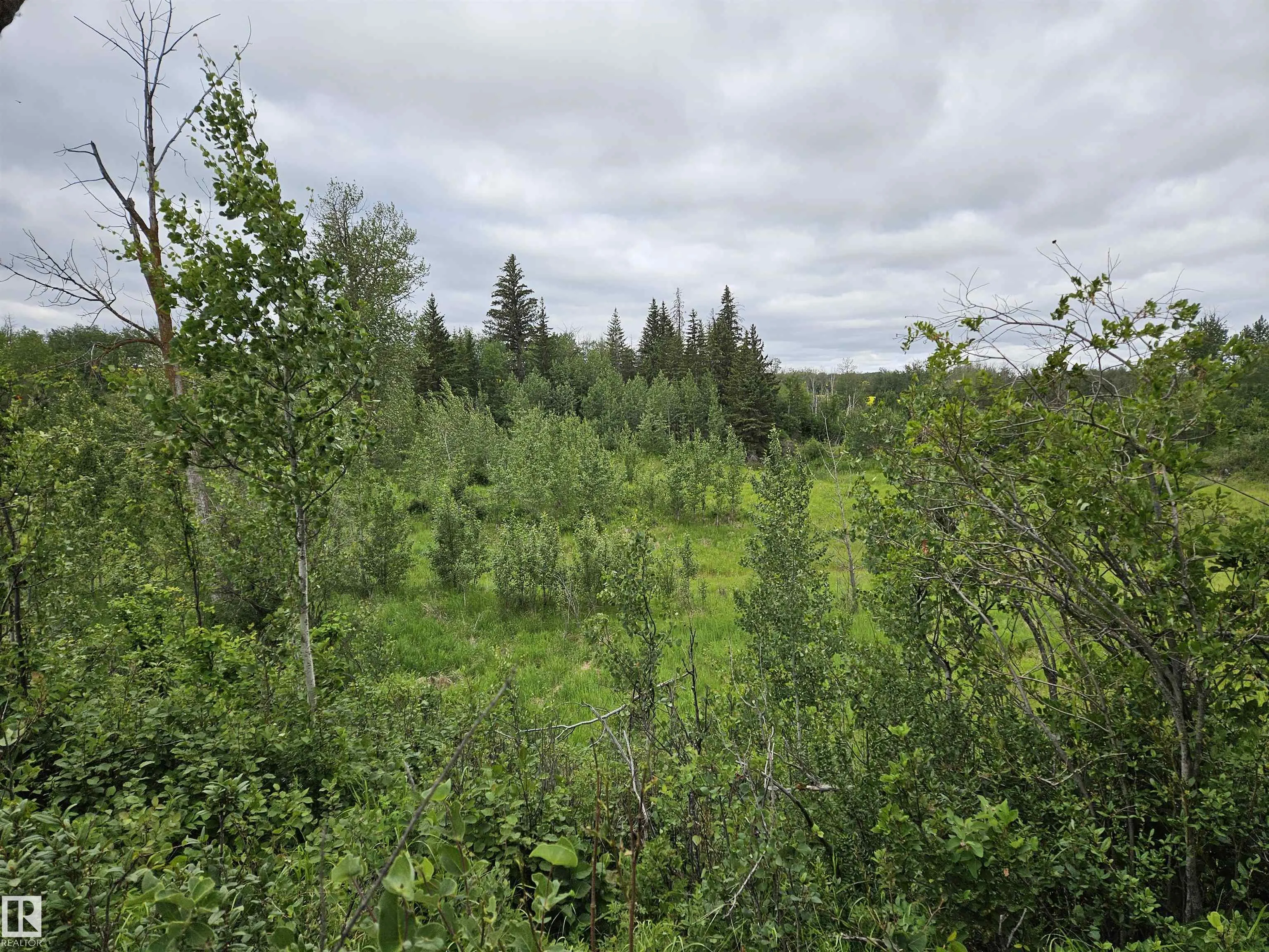 TWP RD 533 RR222