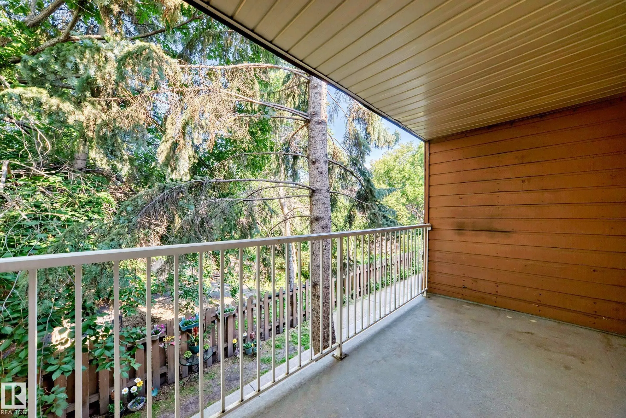 24 Alpine Place