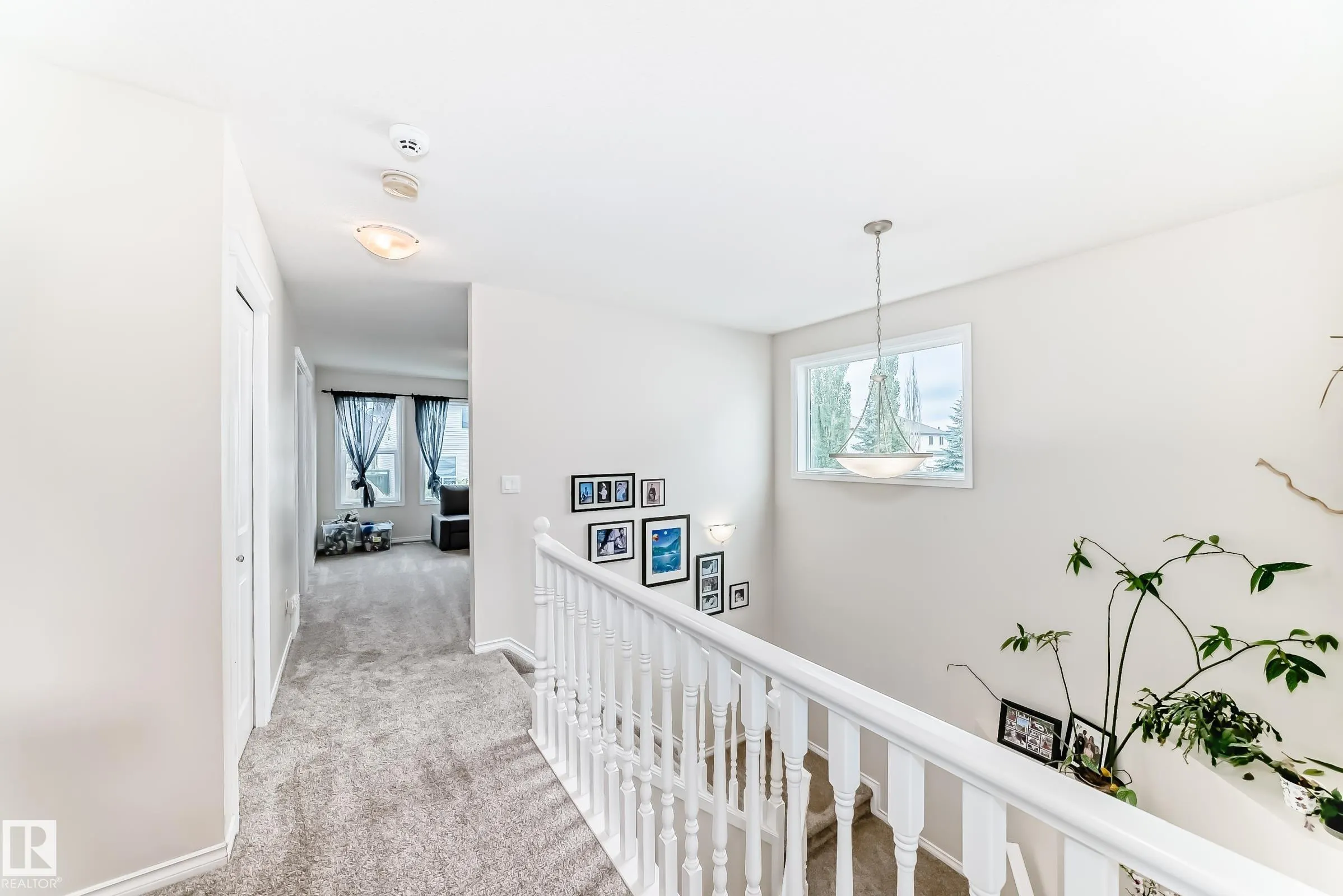 17 Virginia Loop