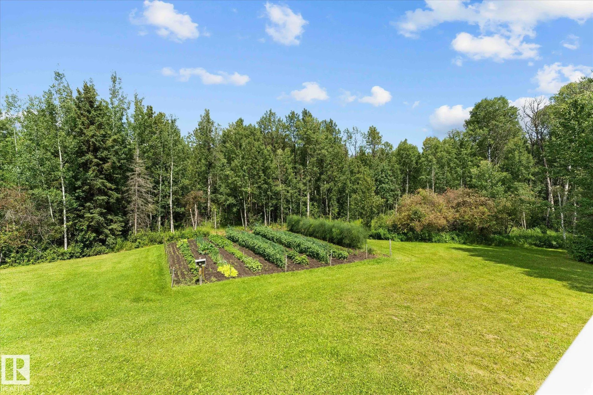 6316 HGHWAY 16