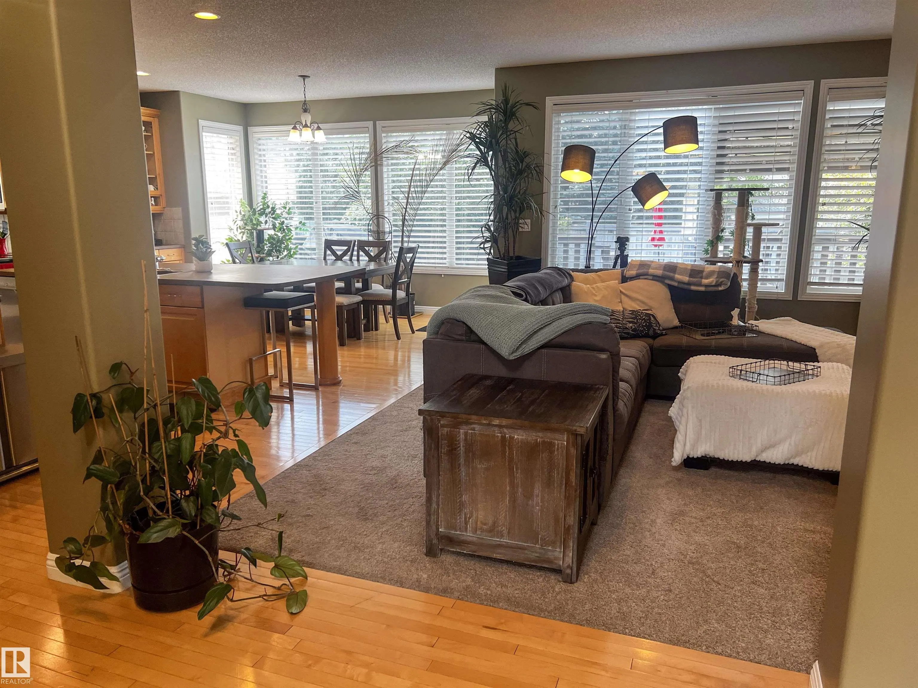 446 SPARLING Court