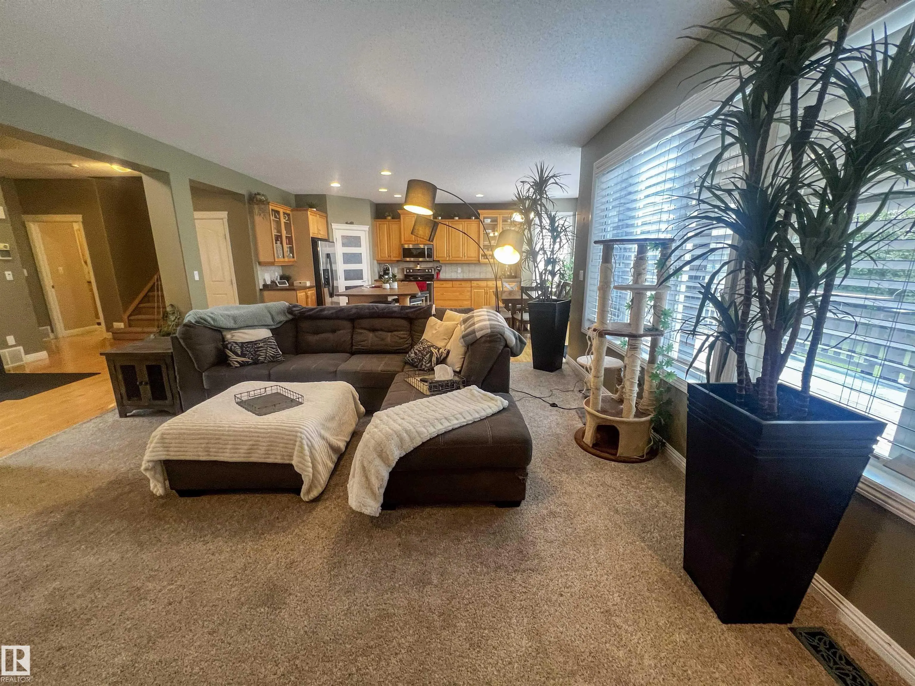 446 SPARLING Court