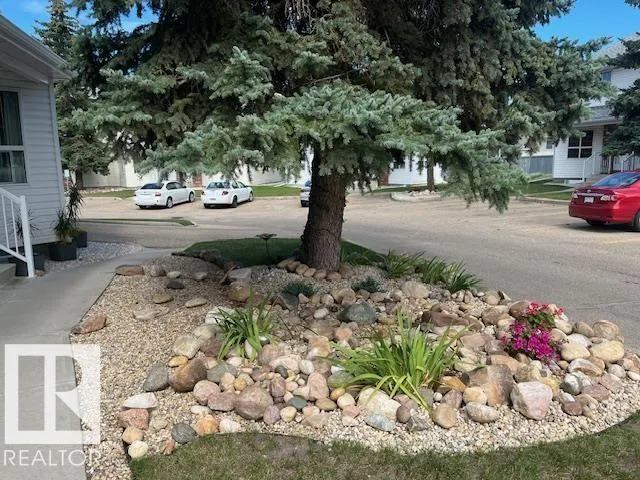 1033 Youville Drive