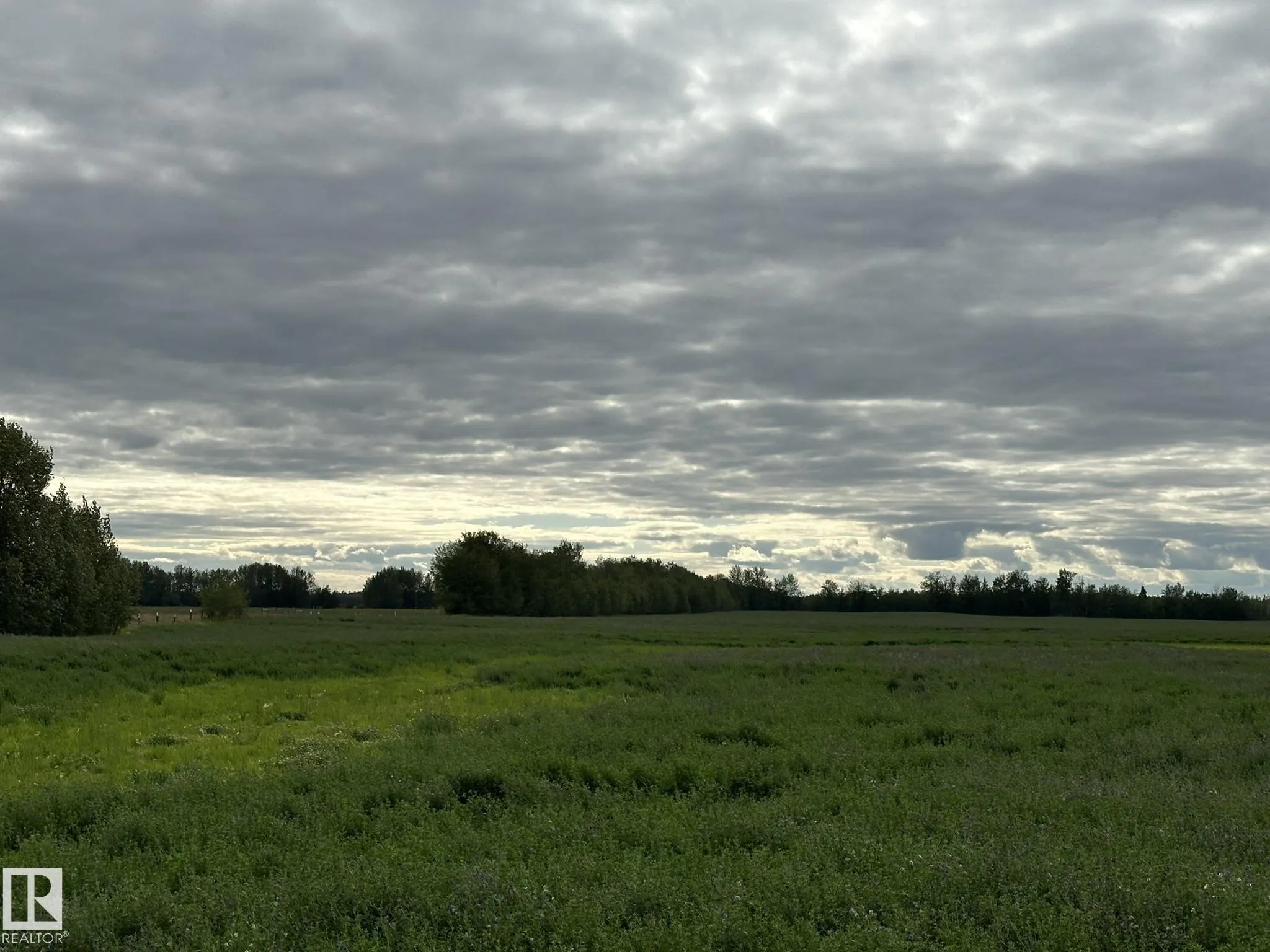 W4-20-60-15 SW -East half