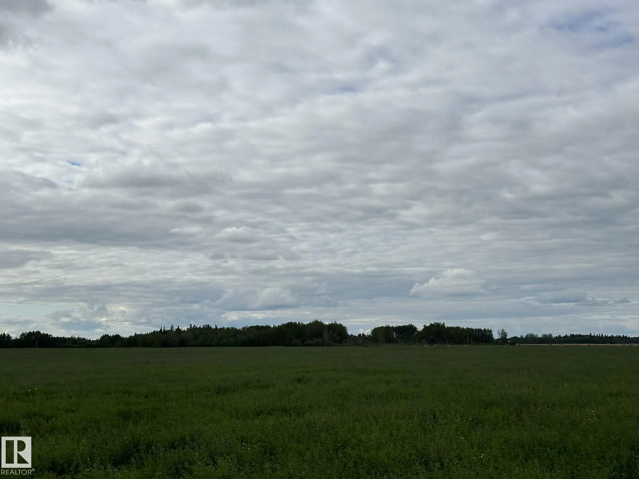 W4-20-60-15 SW -East half