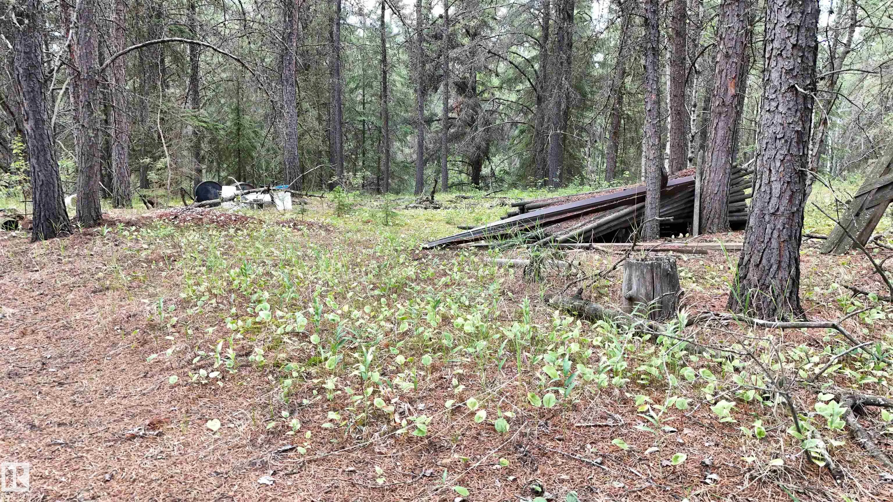 Twp 573 Range Road 181