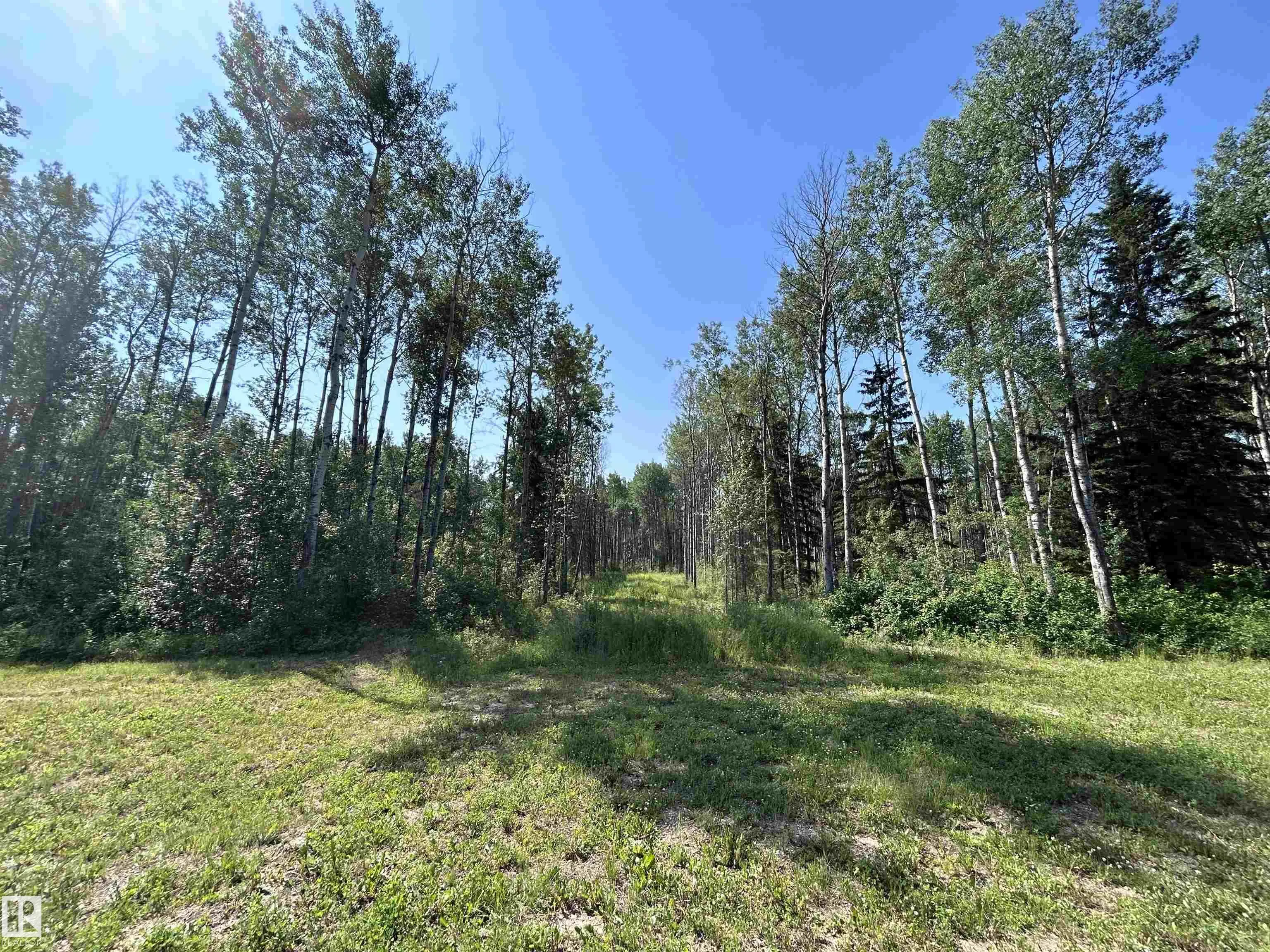 Lot 3 Forest Road (RR 214)