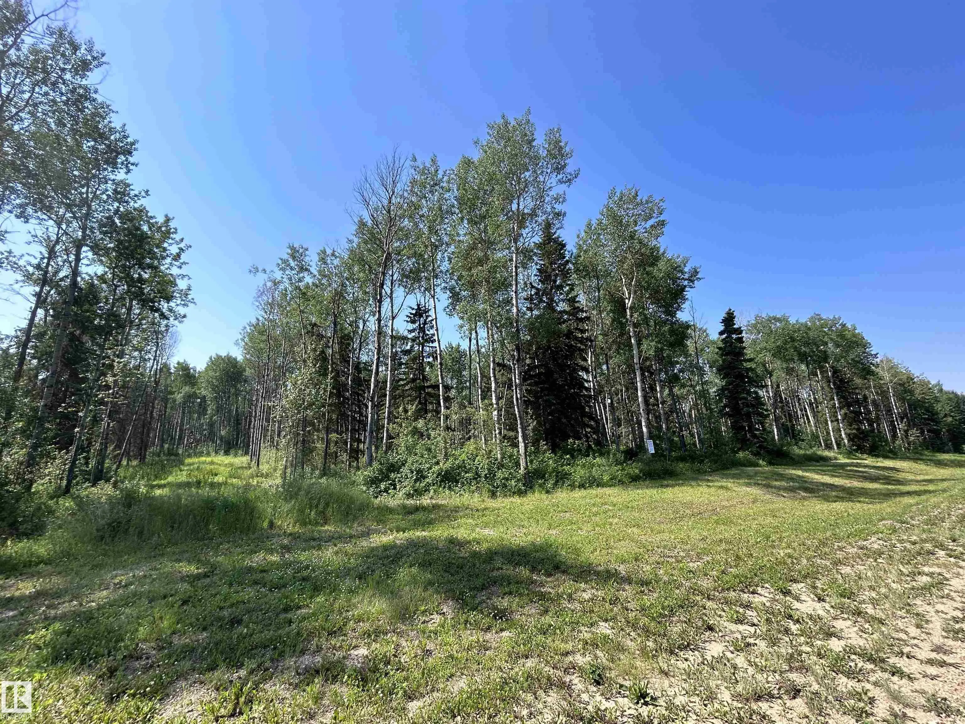 Lot 3 Forest Road (RR 214)