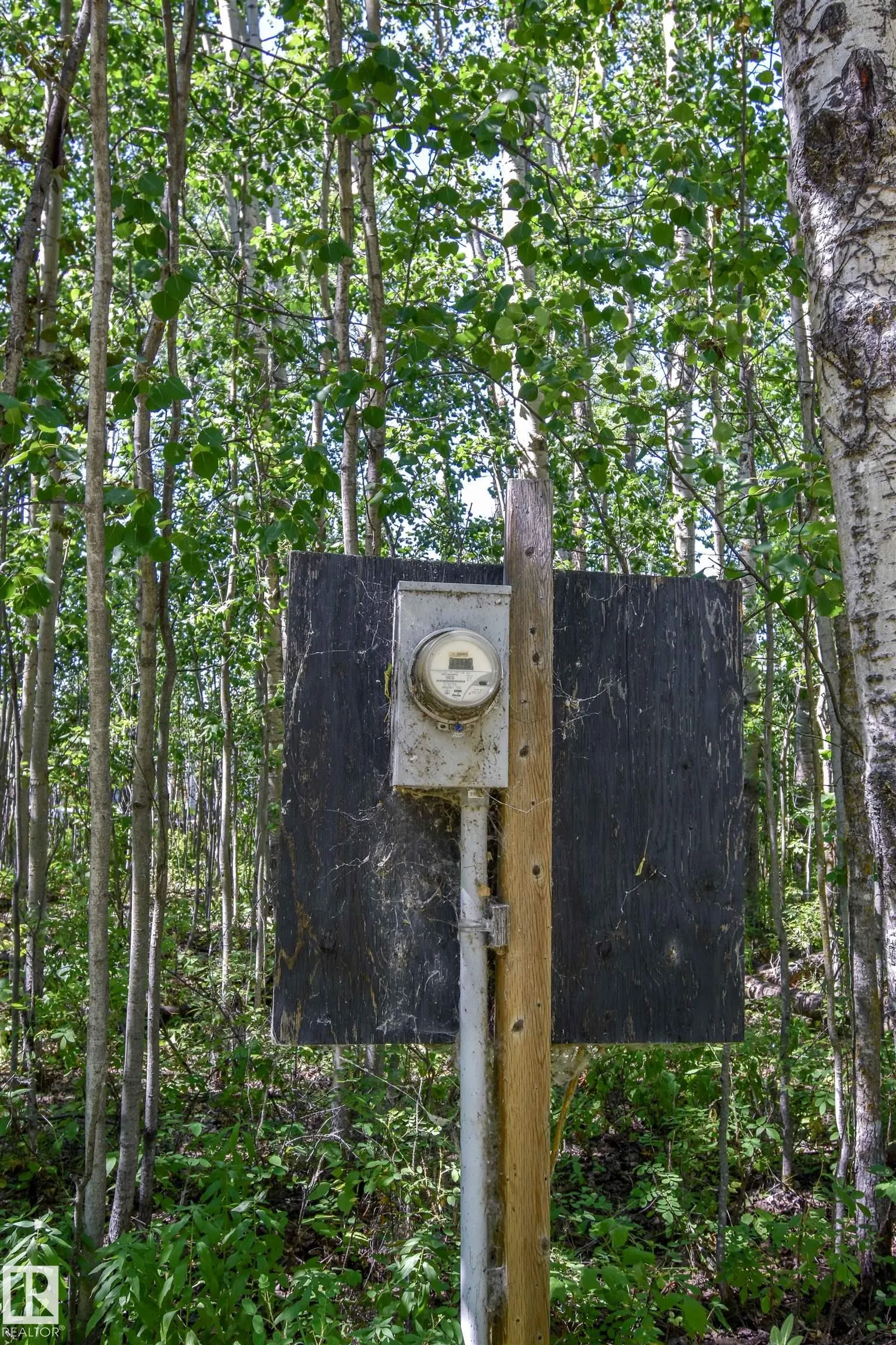 53, 4224 Twp Rd 545
