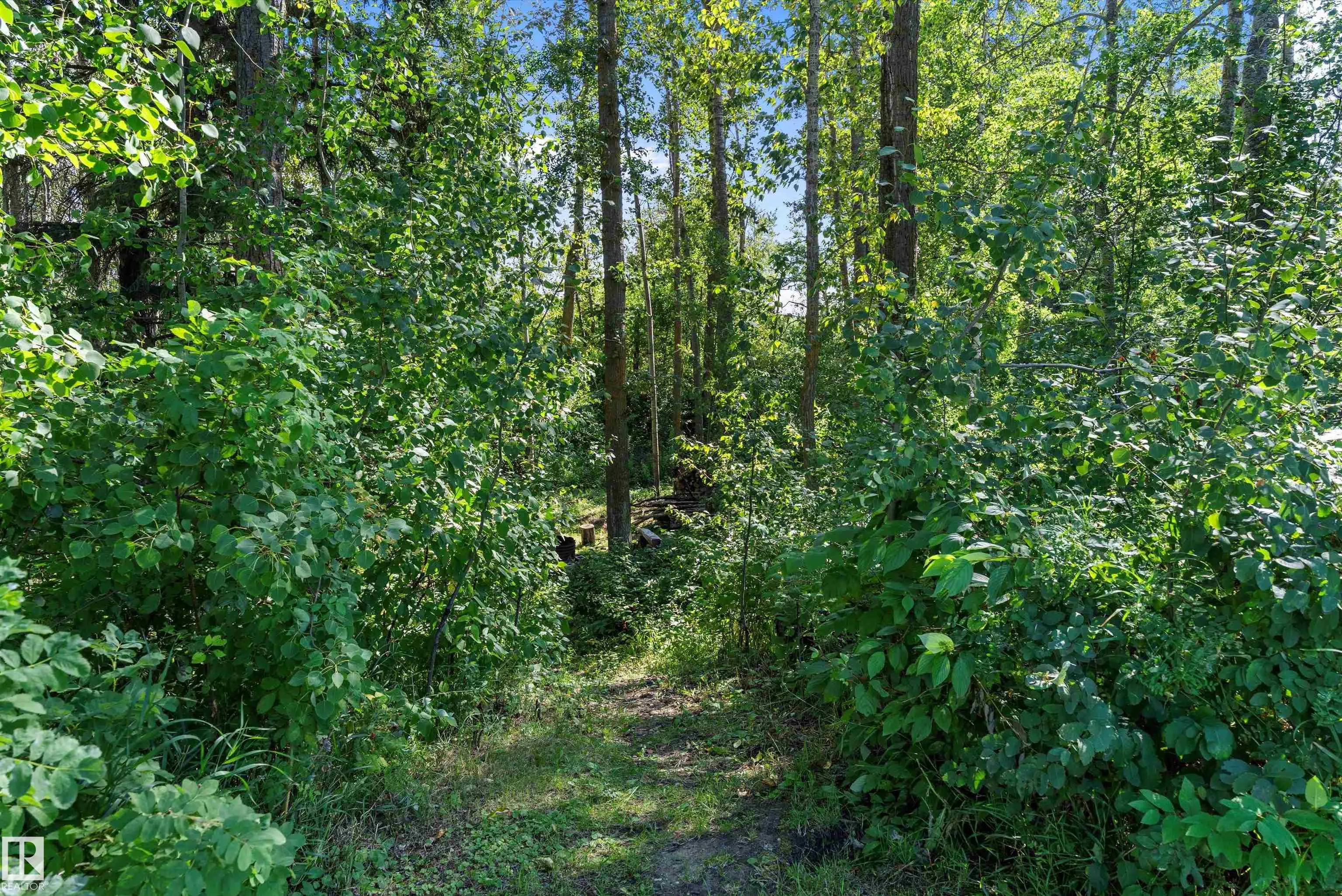 75 Willowview BV