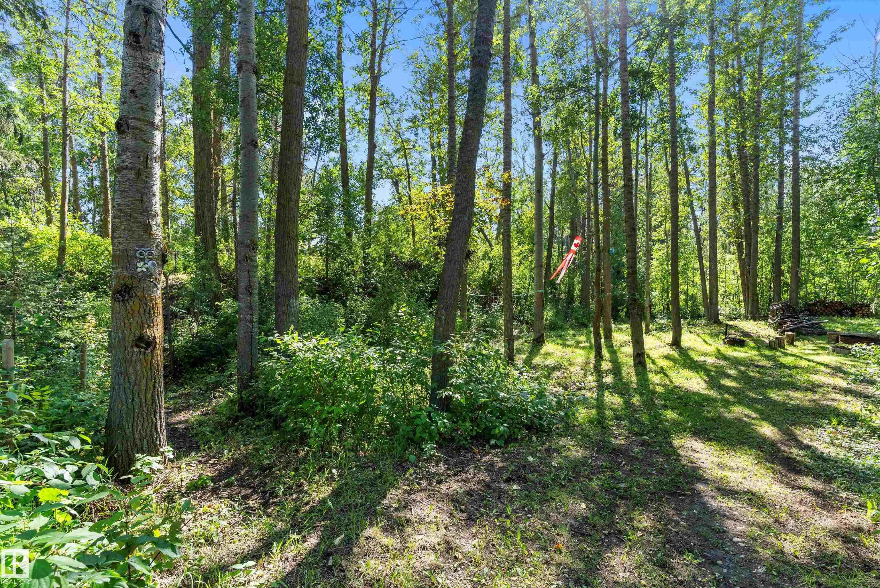 75 Willowview BV