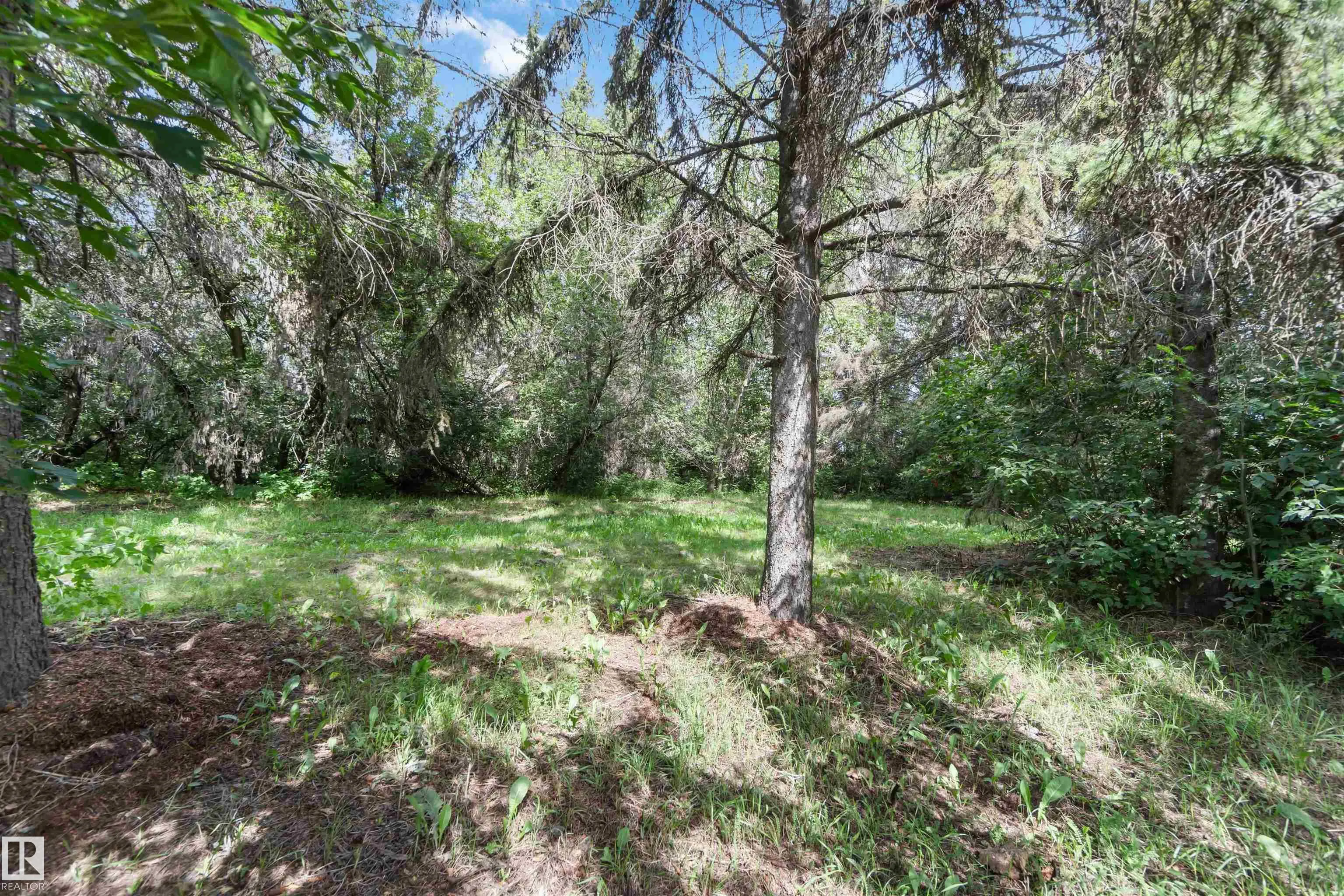 56223 Rge Rd 245