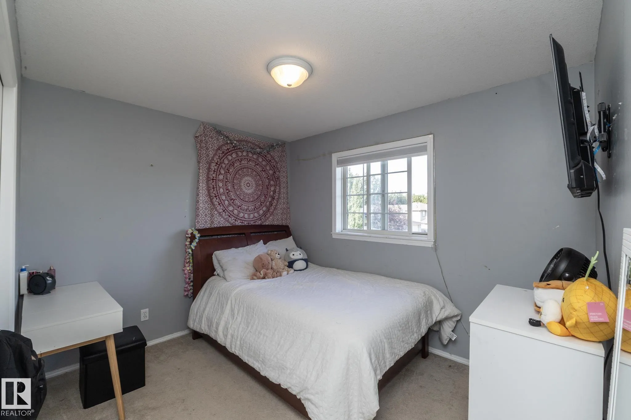301 BIRCHWOOD Drive