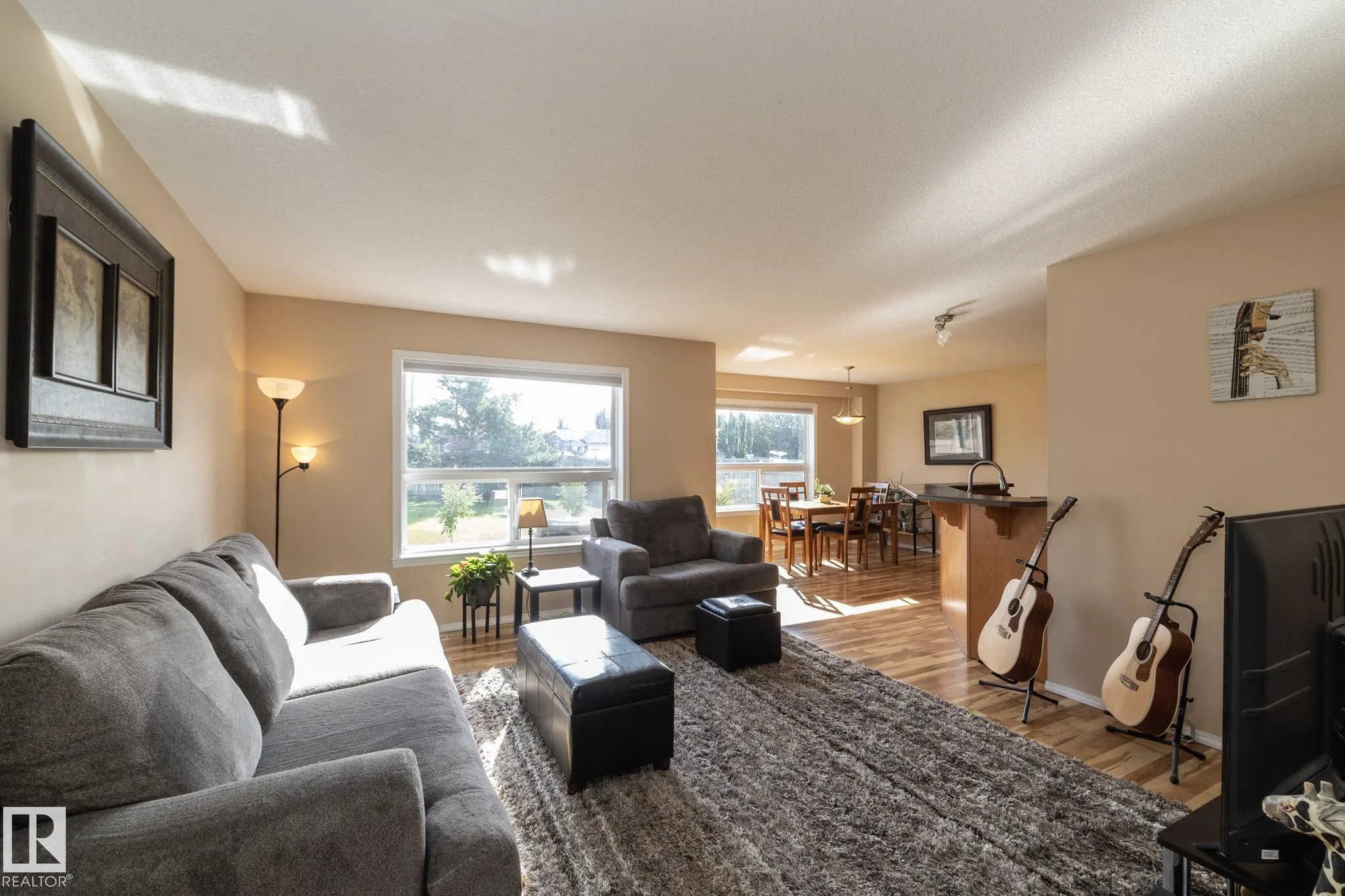 301 BIRCHWOOD Drive
