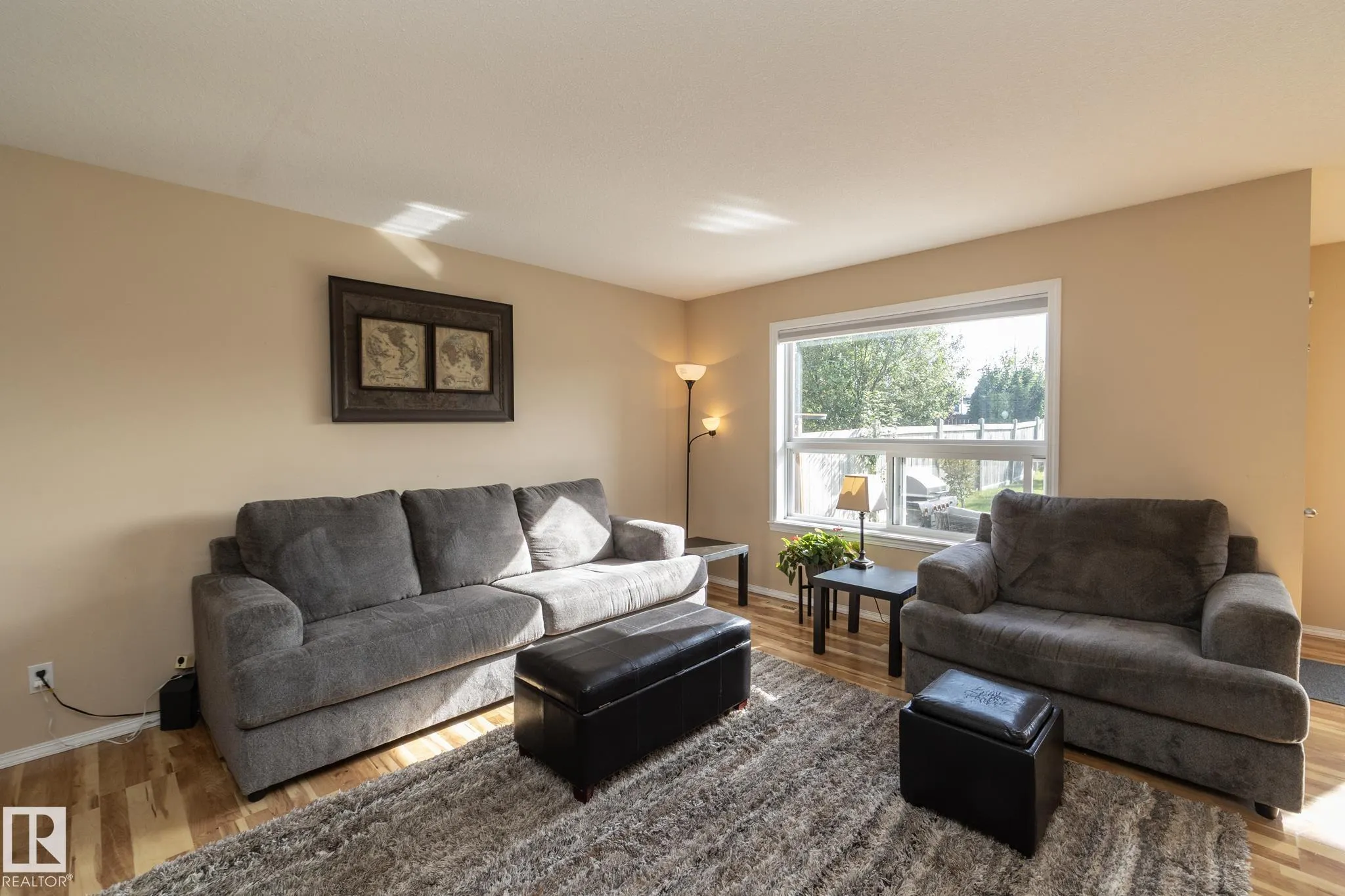 301 BIRCHWOOD Drive
