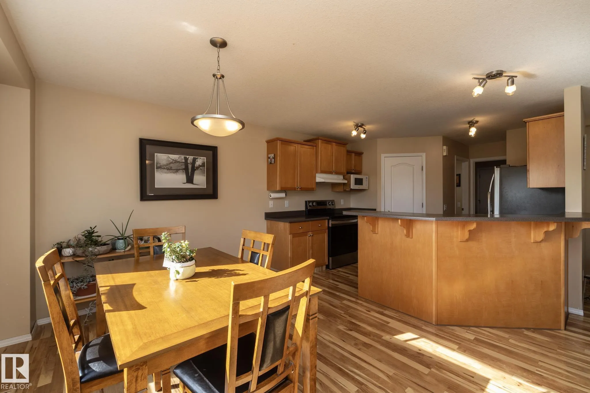 301 BIRCHWOOD Drive