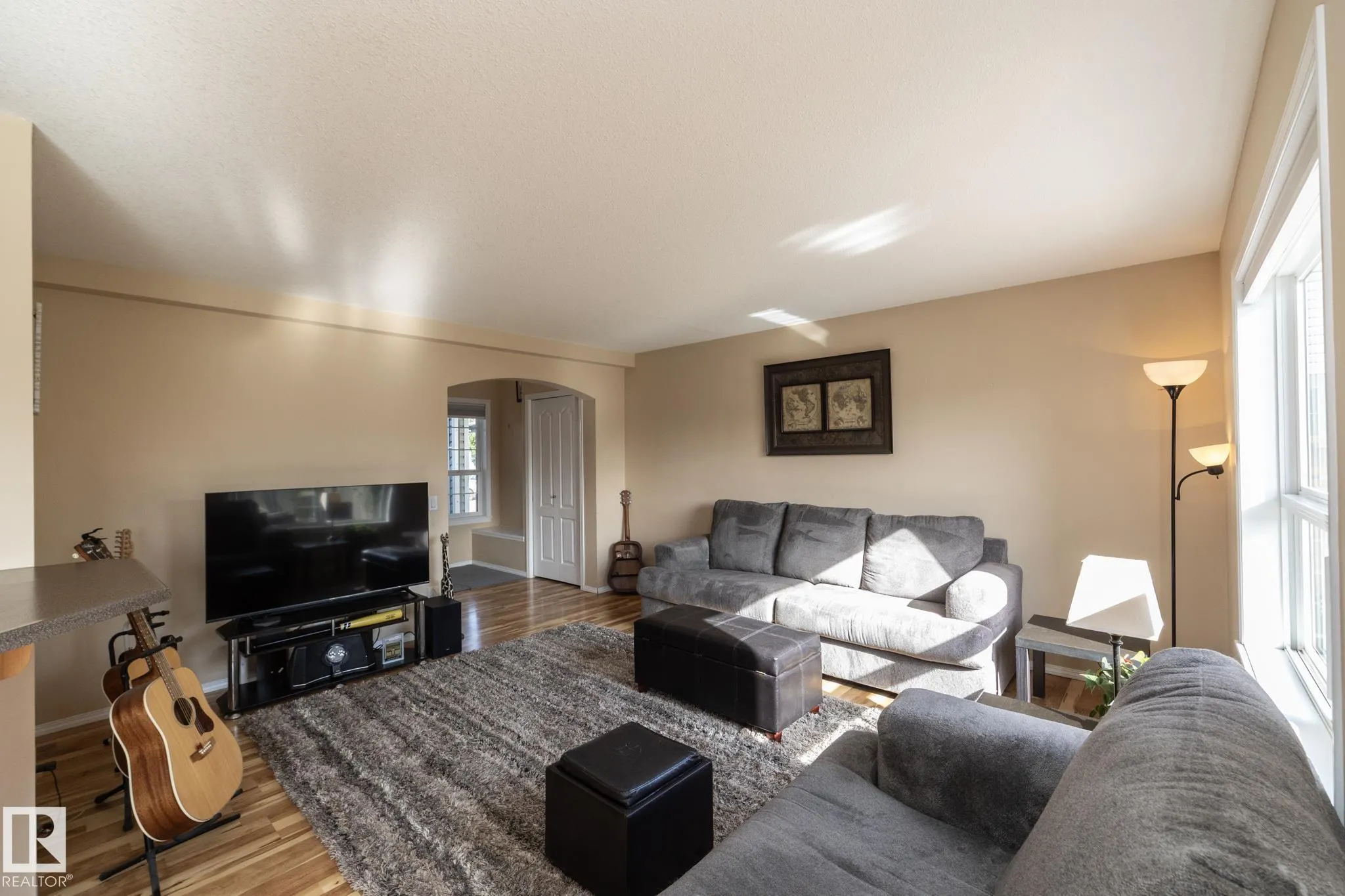 301 BIRCHWOOD Drive