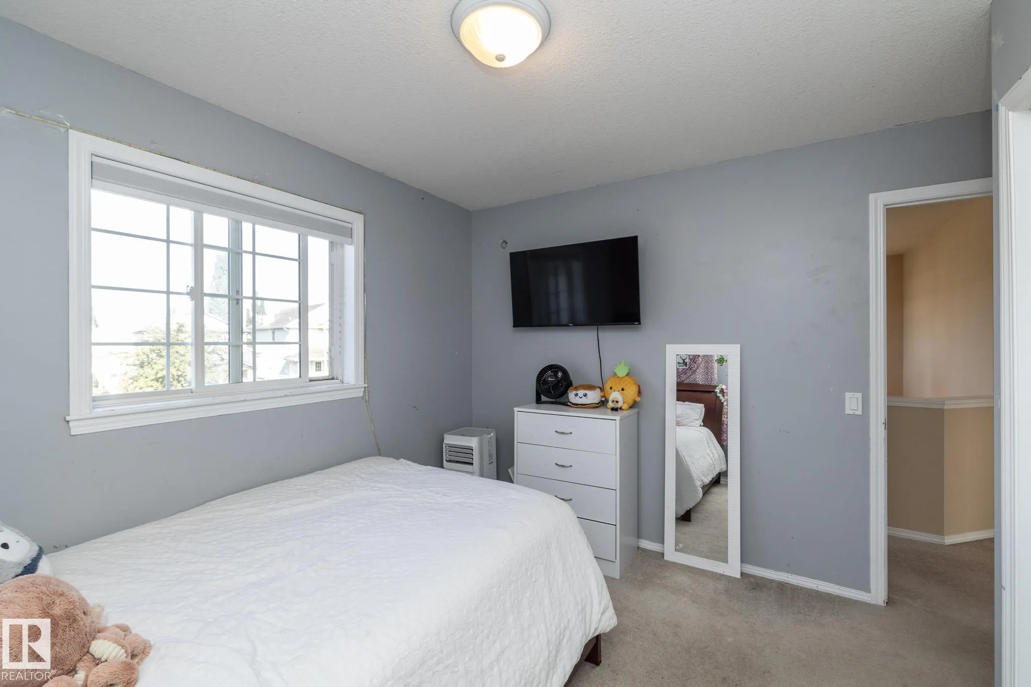 301 BIRCHWOOD Drive