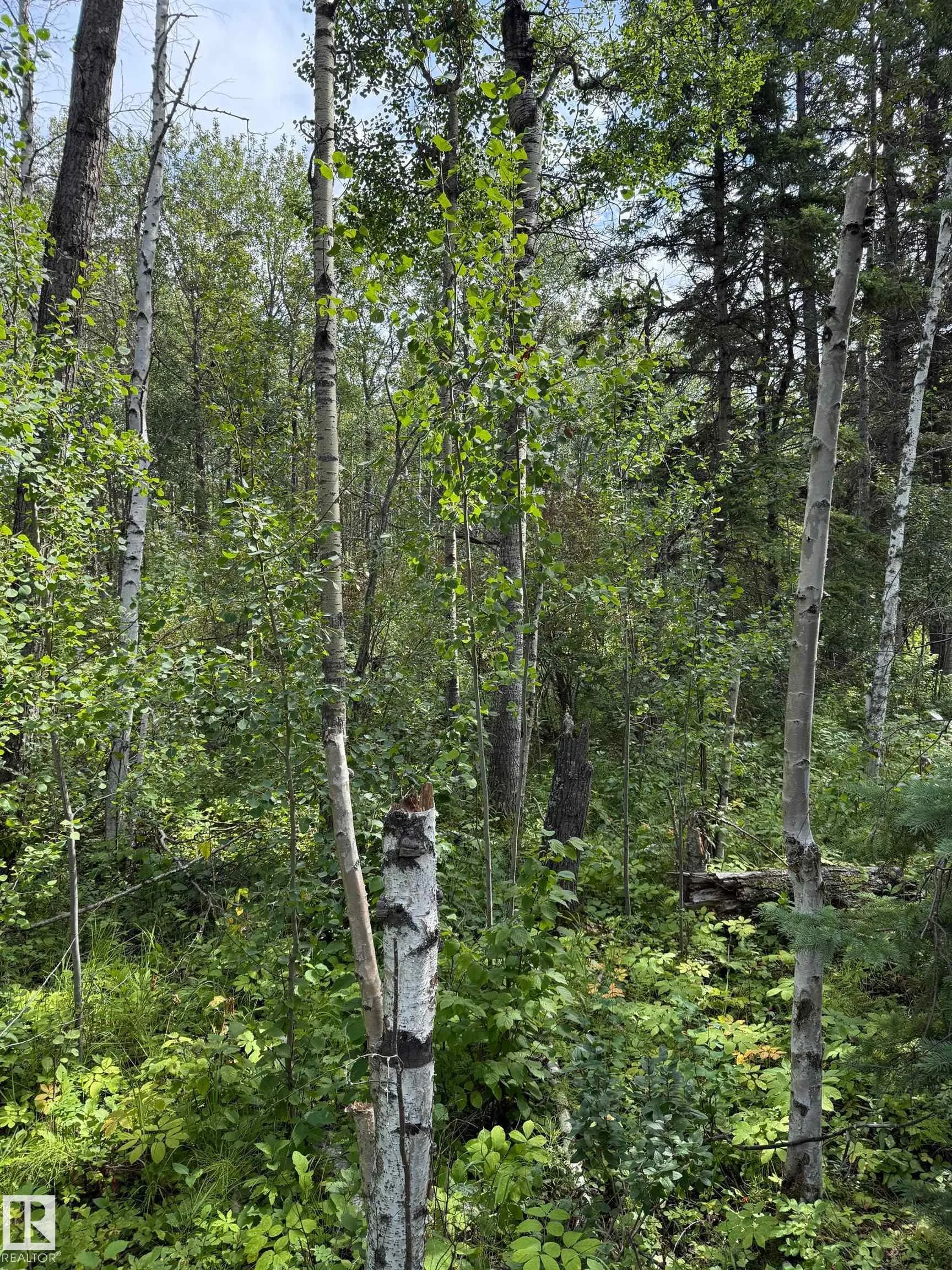 81 TWP RD 550