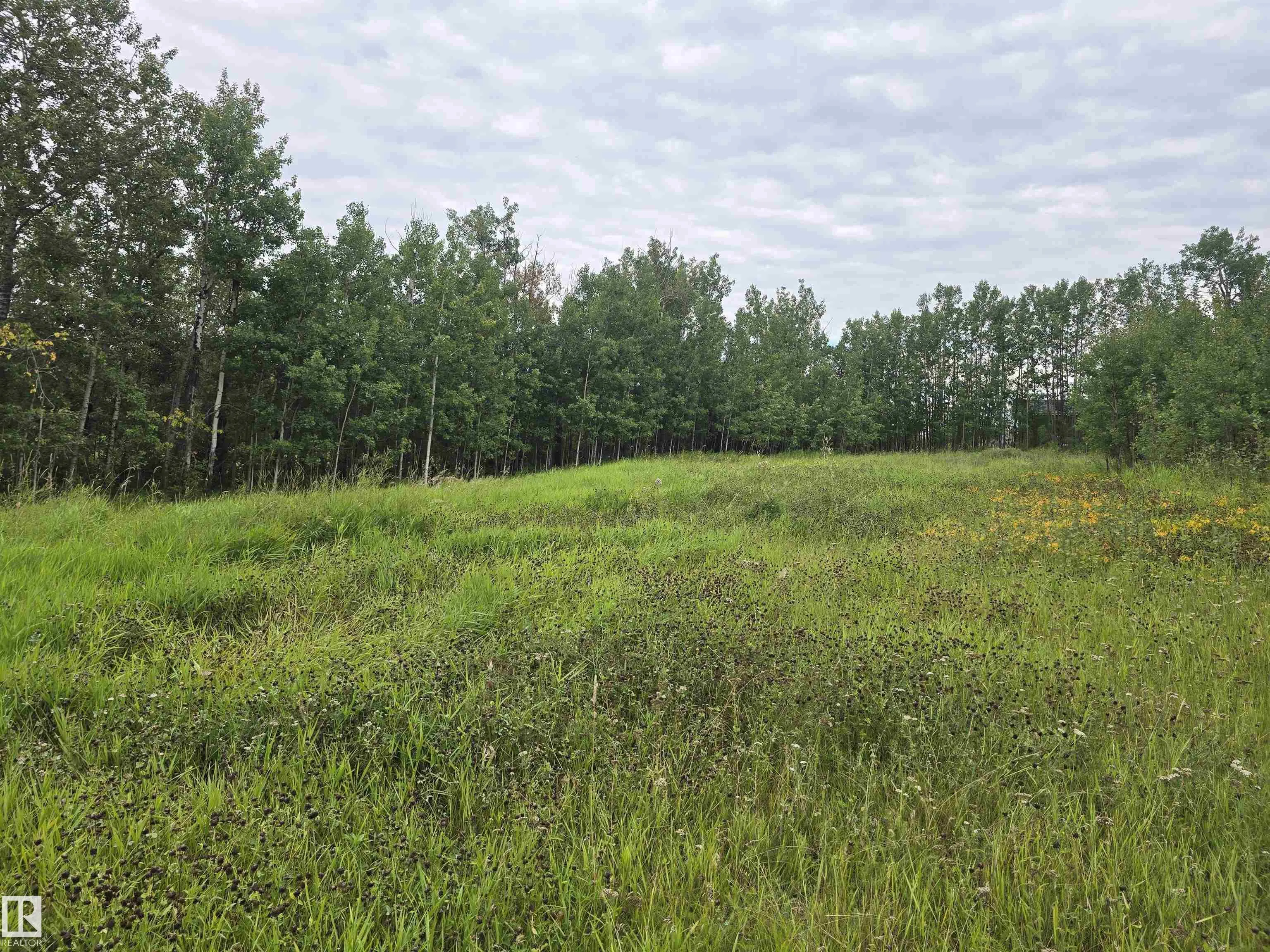 21-55022 Lac Ste. Anne Trail