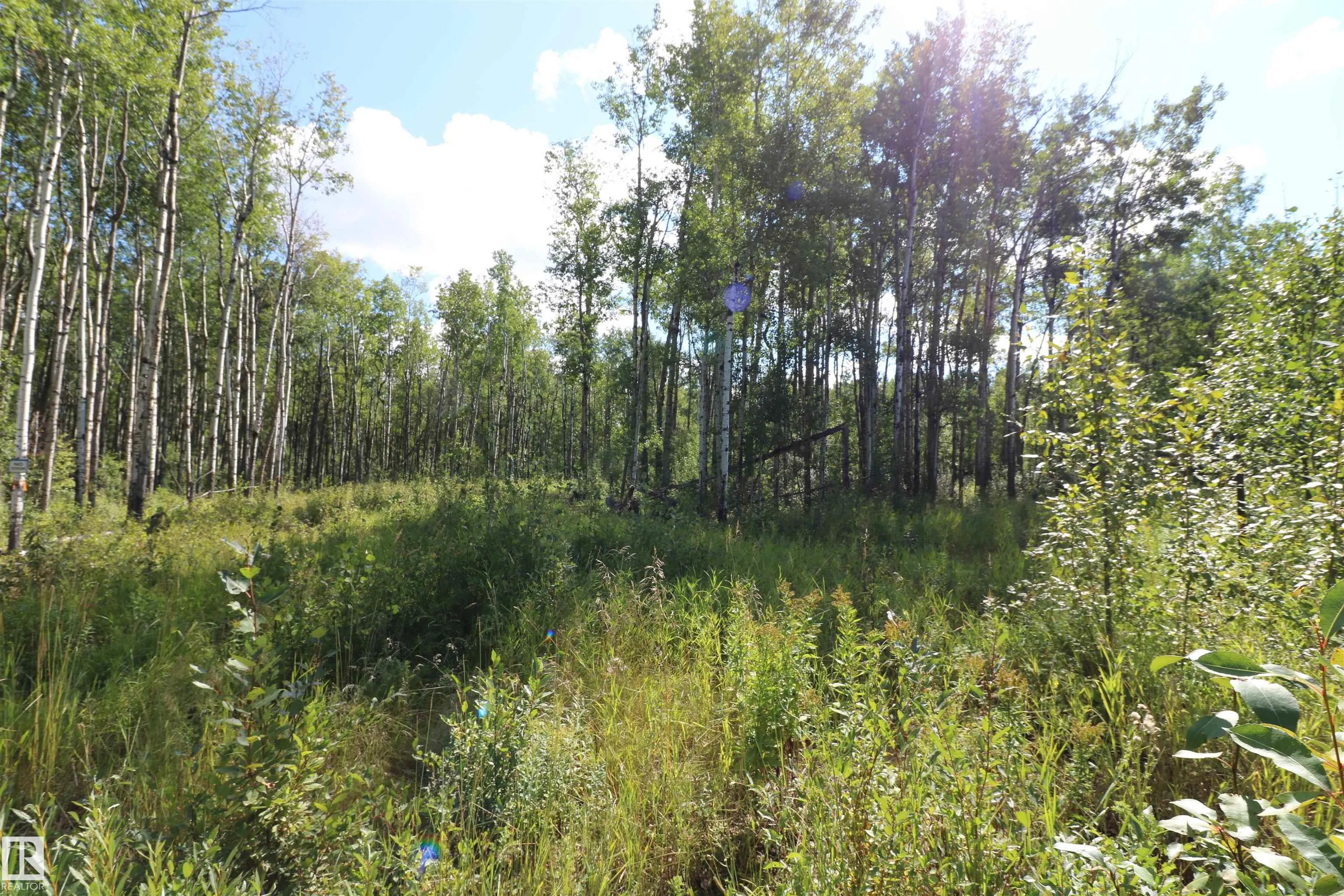Lot 2, 2418 Twp Road 562