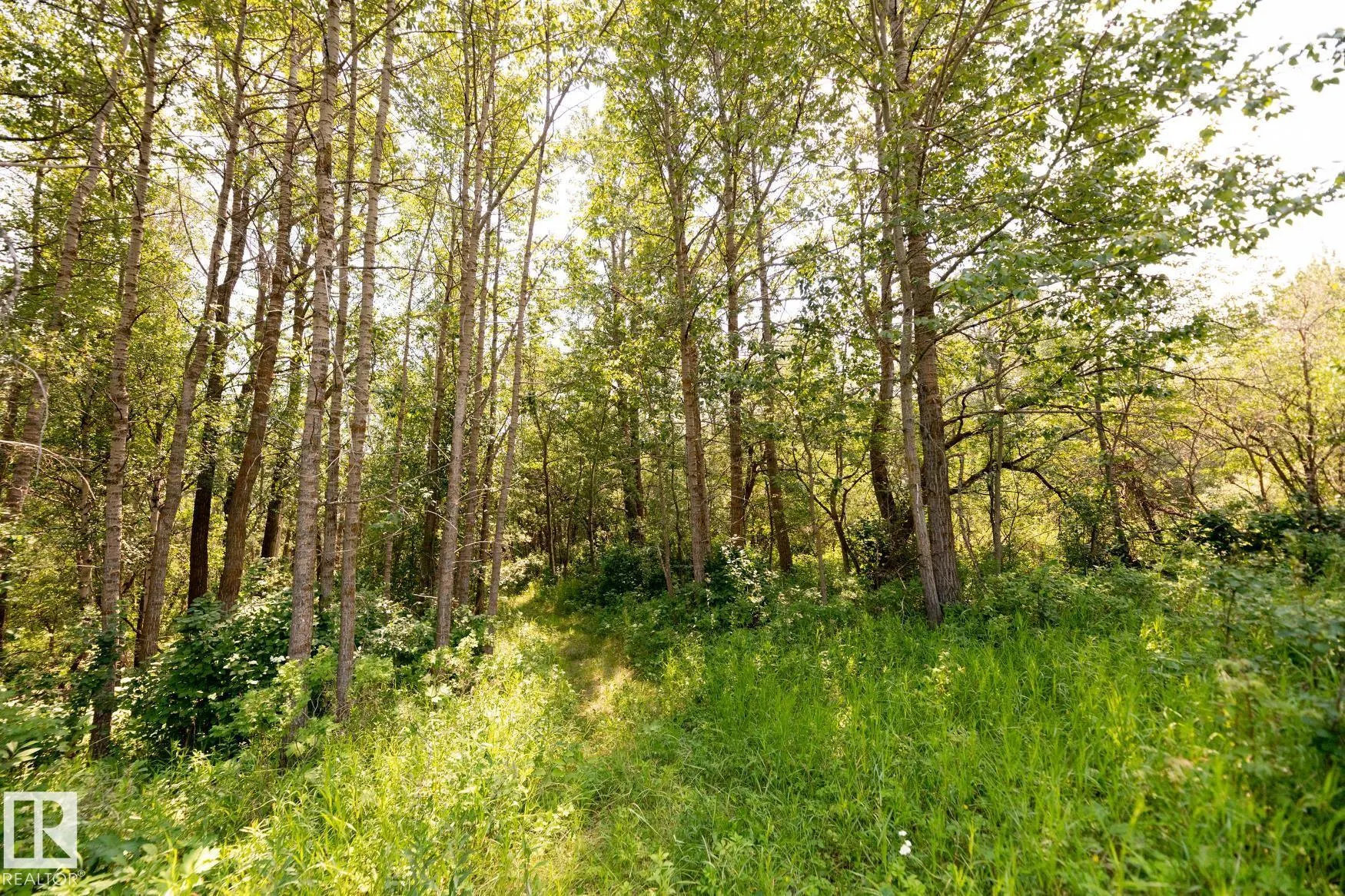 23246 TWP  RD 521A