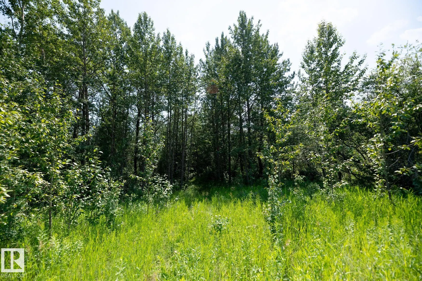 23246 TWP  RD 521A