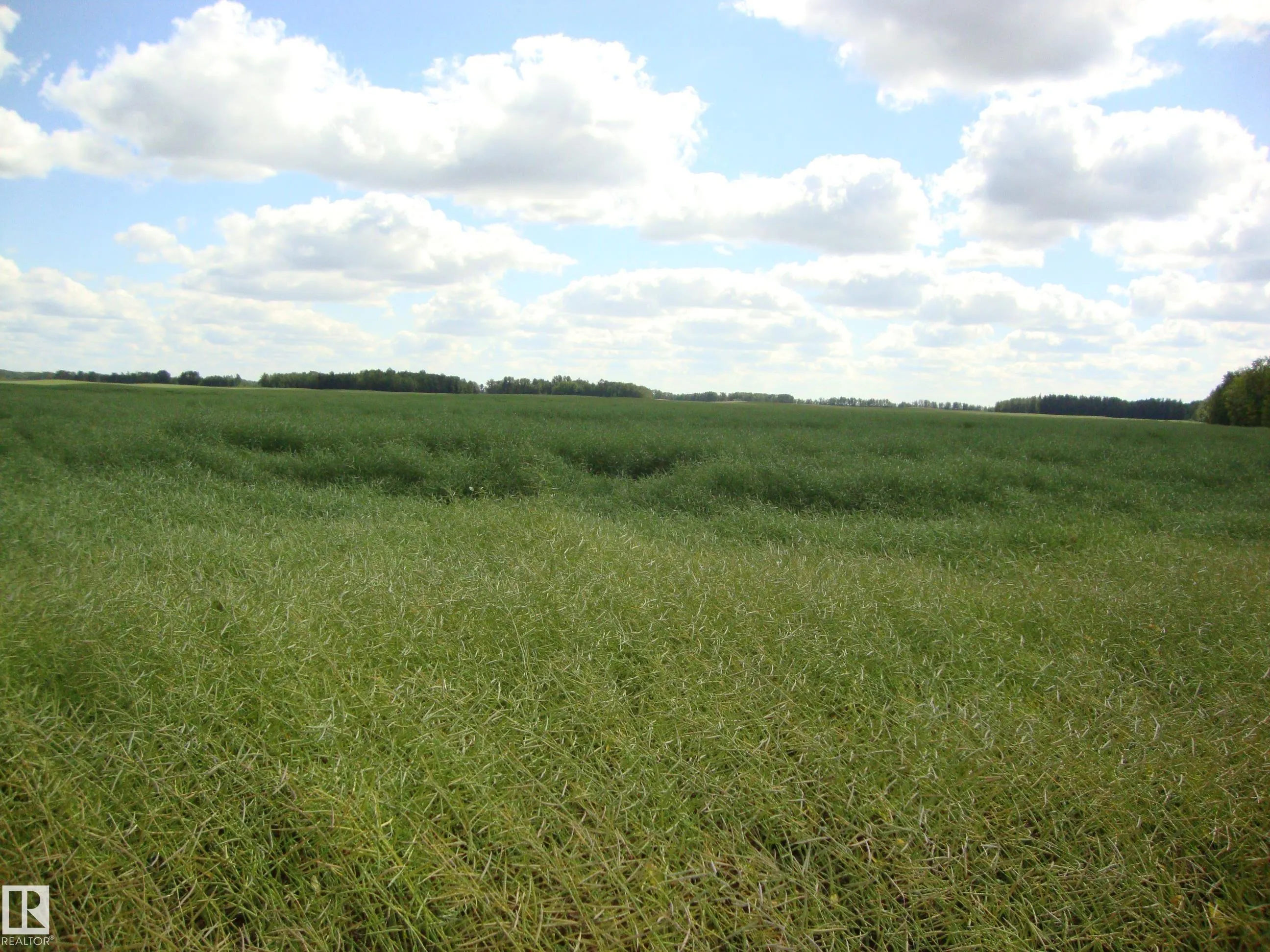 RR224 Twp610