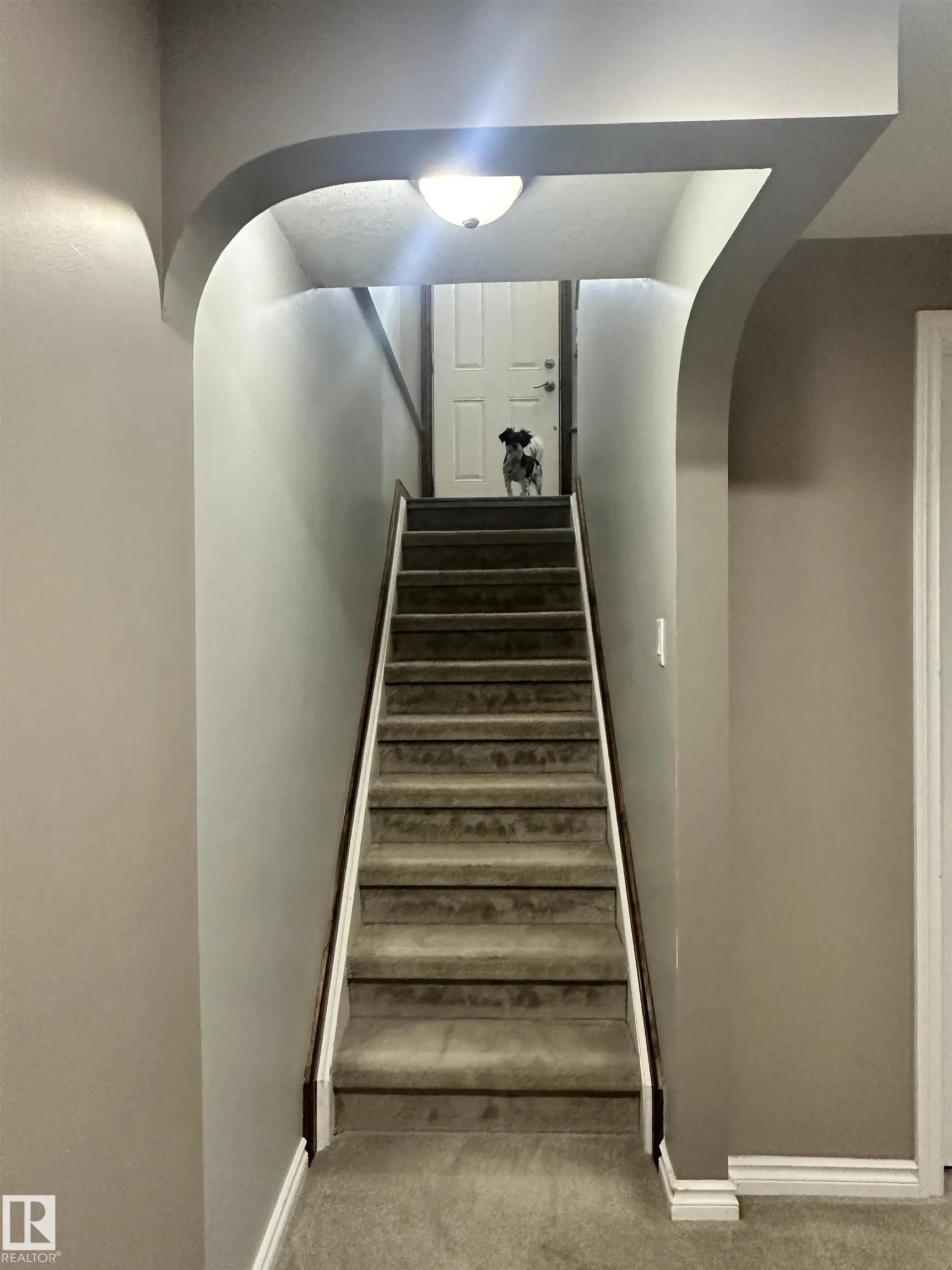 6 ISBISTER Avenue