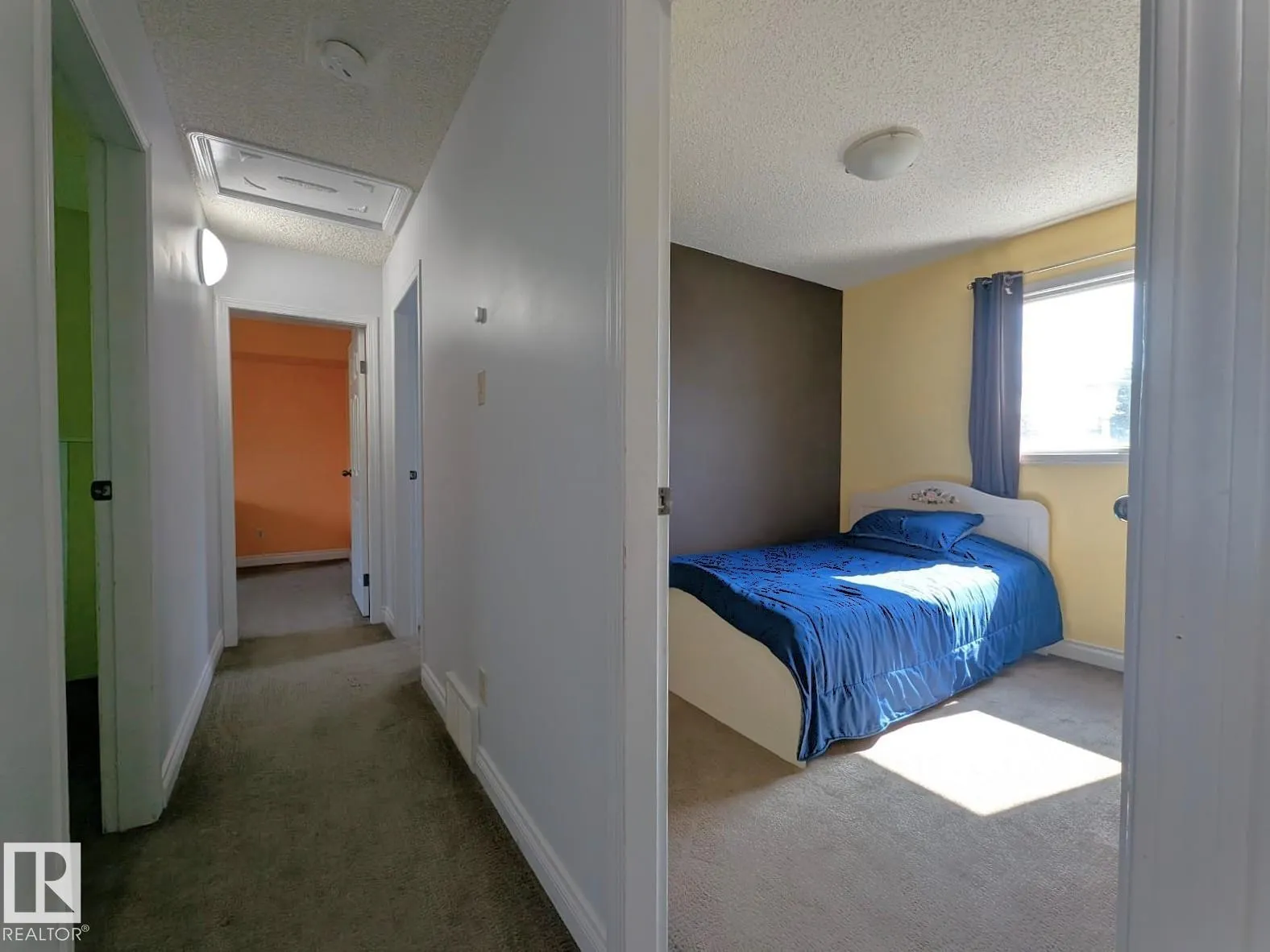 61 MCLEOD Place