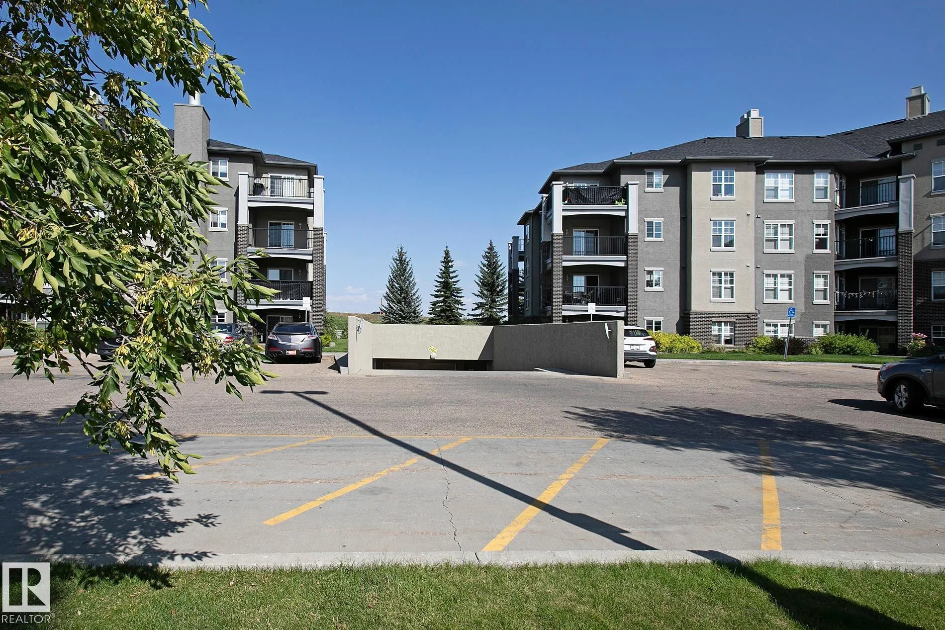 630 MCALLISTER Loop