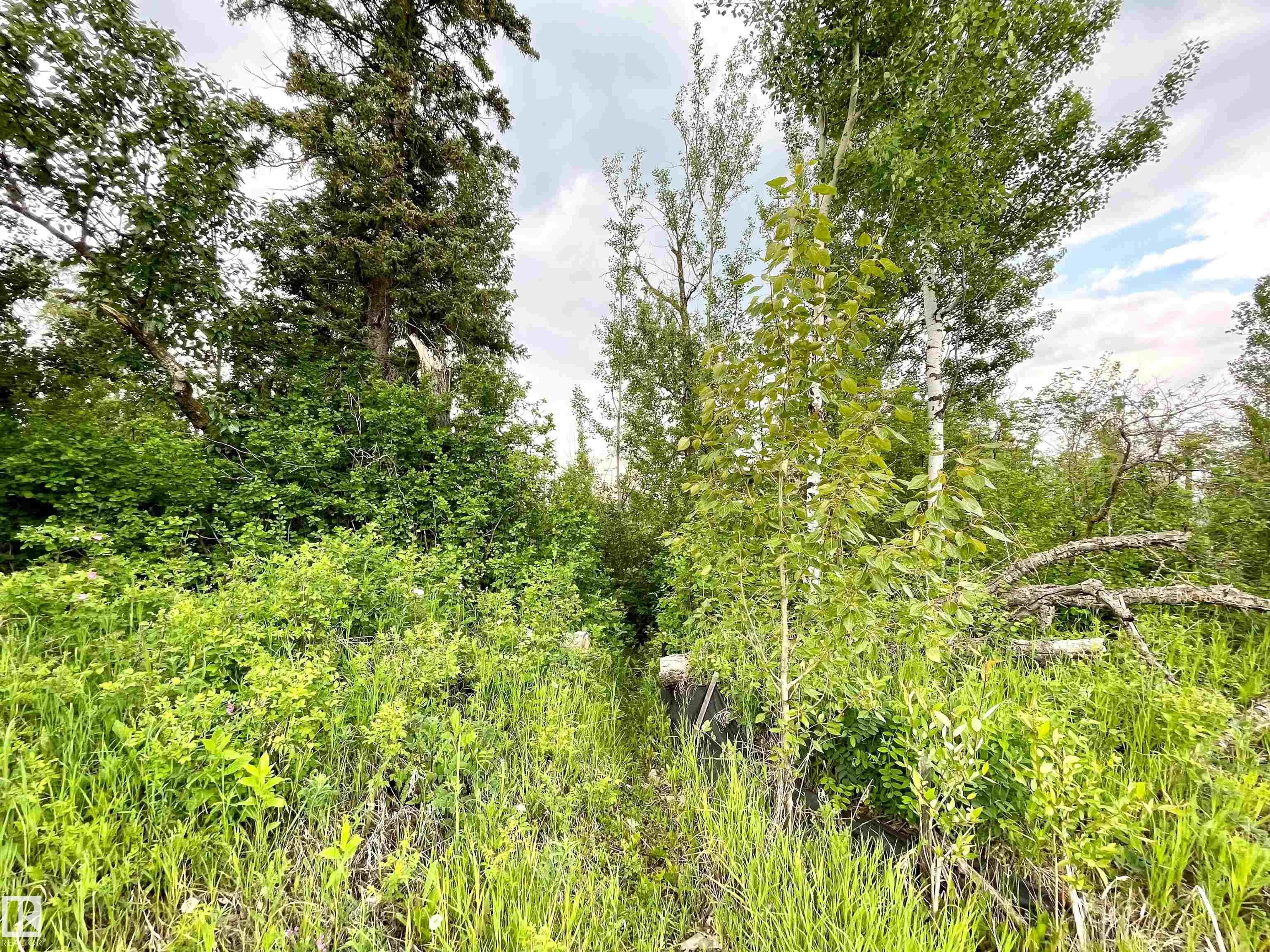 3090 CAMERON HEIGHTS Way