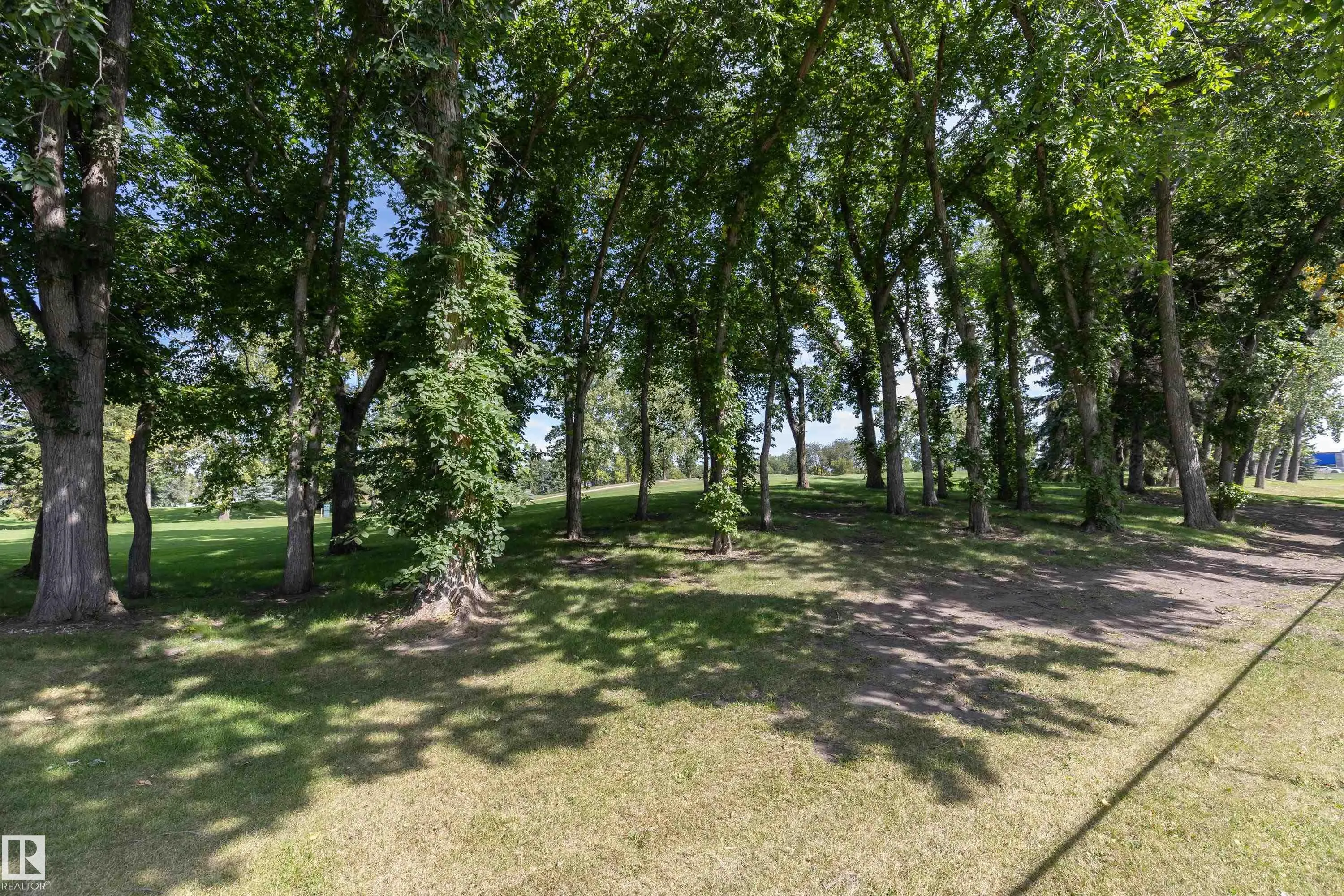 36 Great Oaks