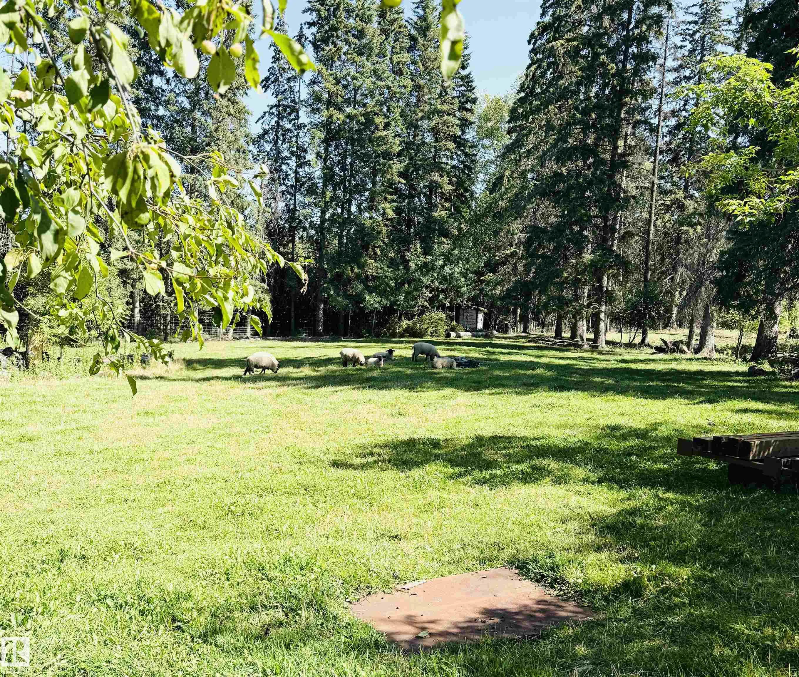 473059 HWY 2A