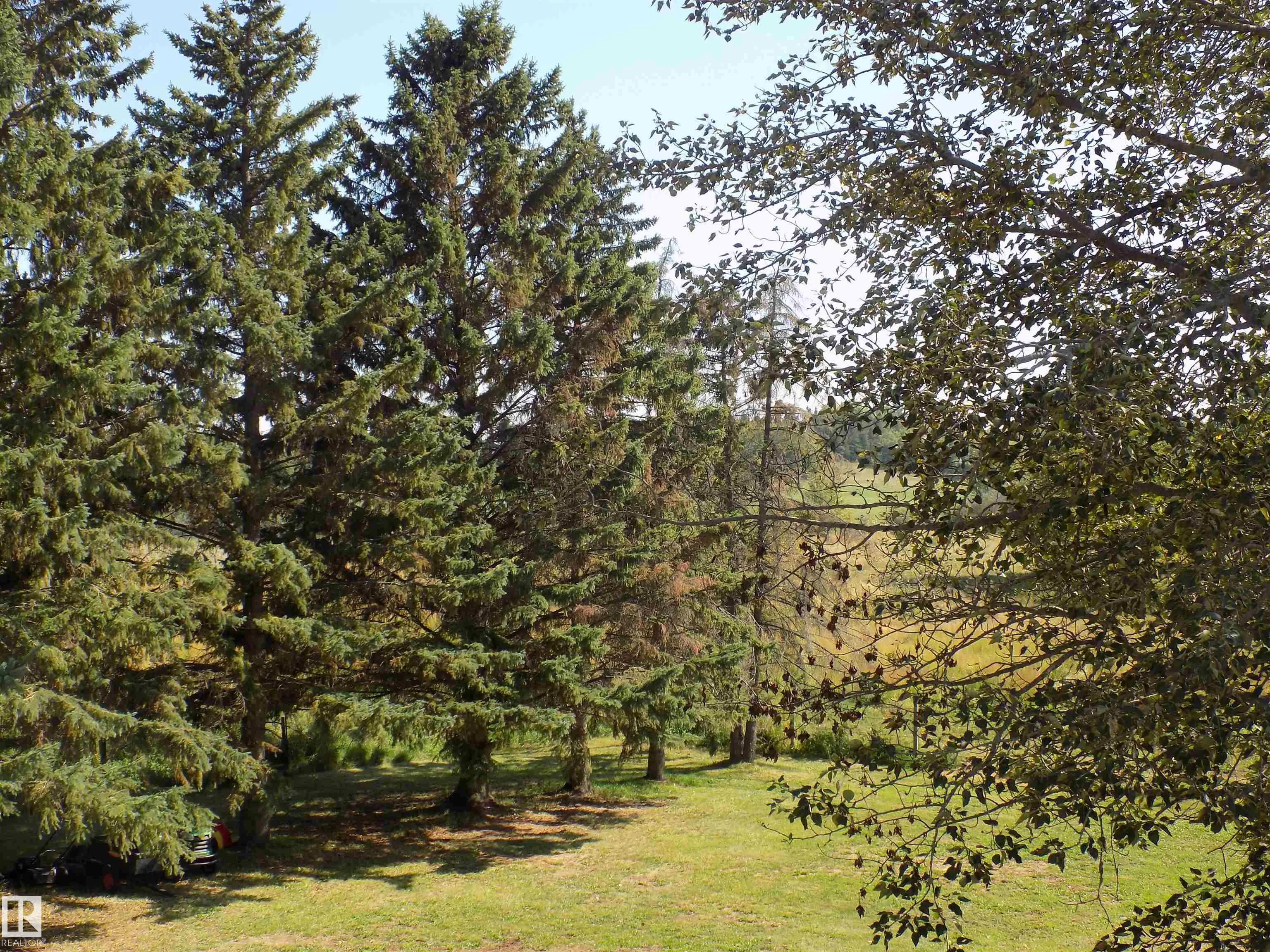 43, 464079 RGE RD 244