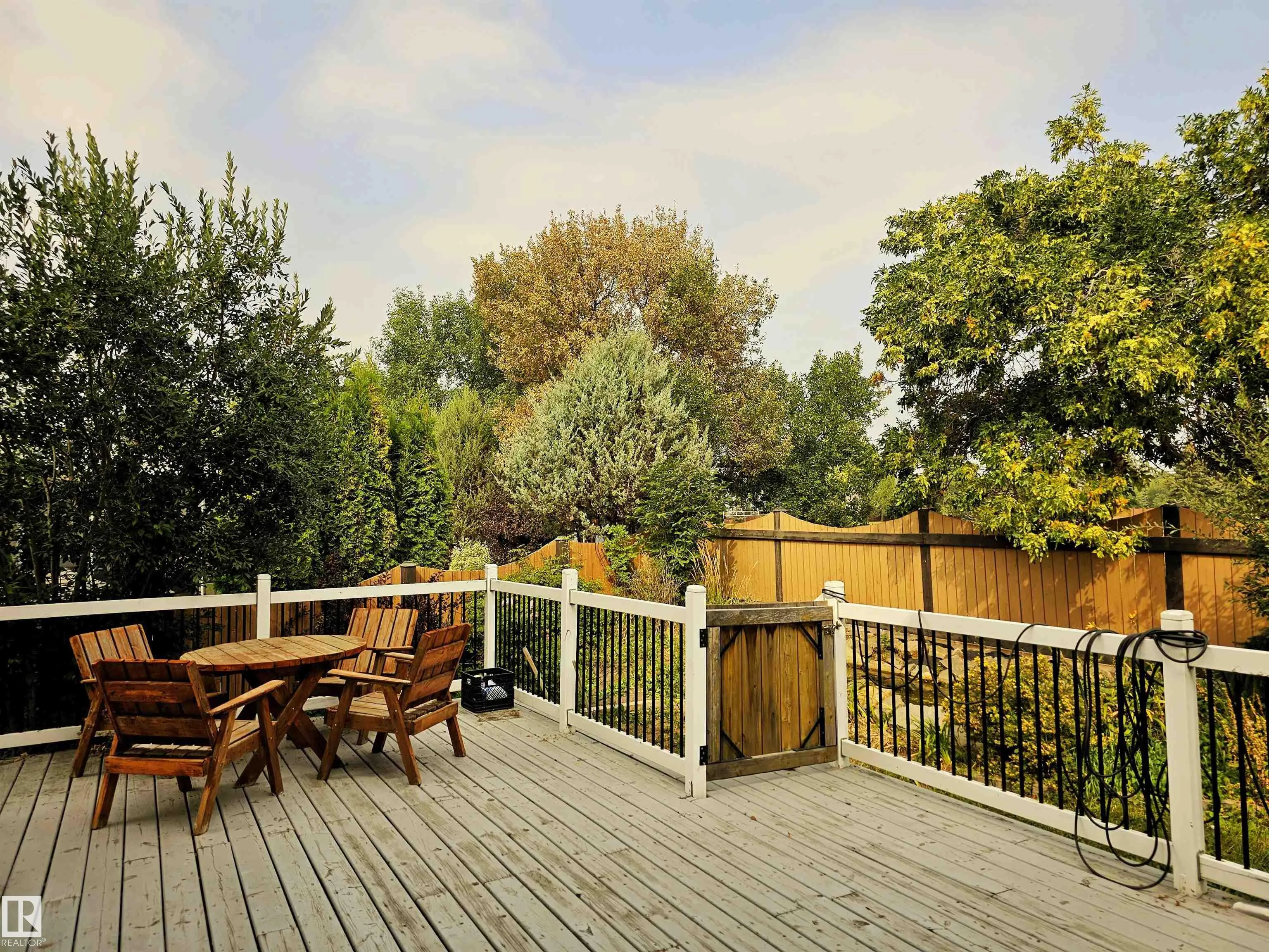 49 DUNFIELD Crescent
