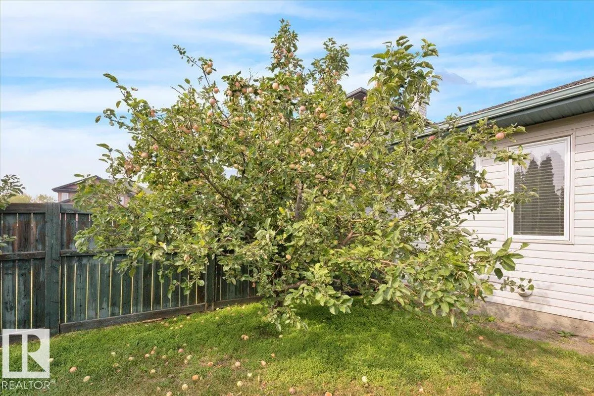 42 BRIDGEVIEW CLOSE
