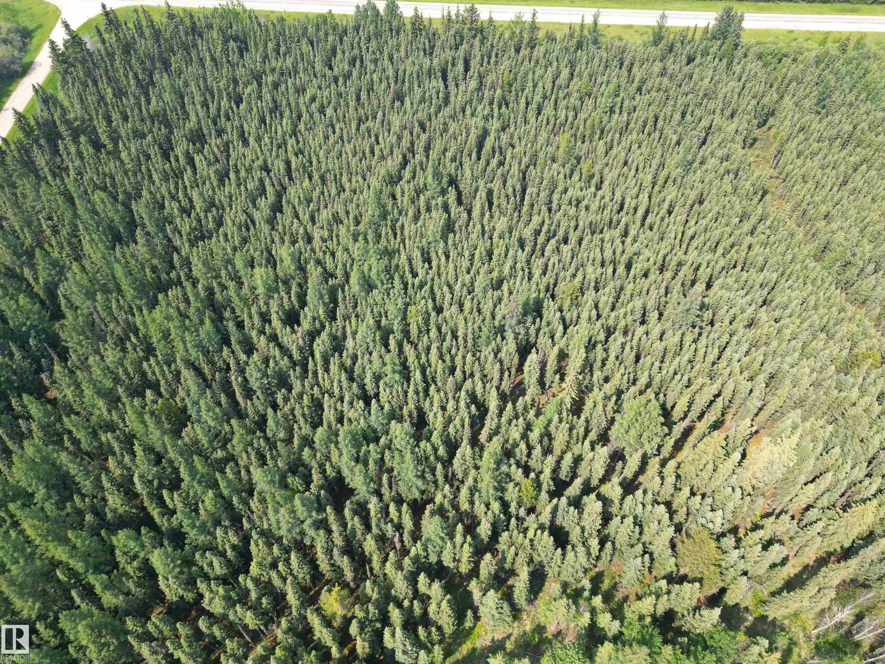 Hwy 16 & Range Rd 100