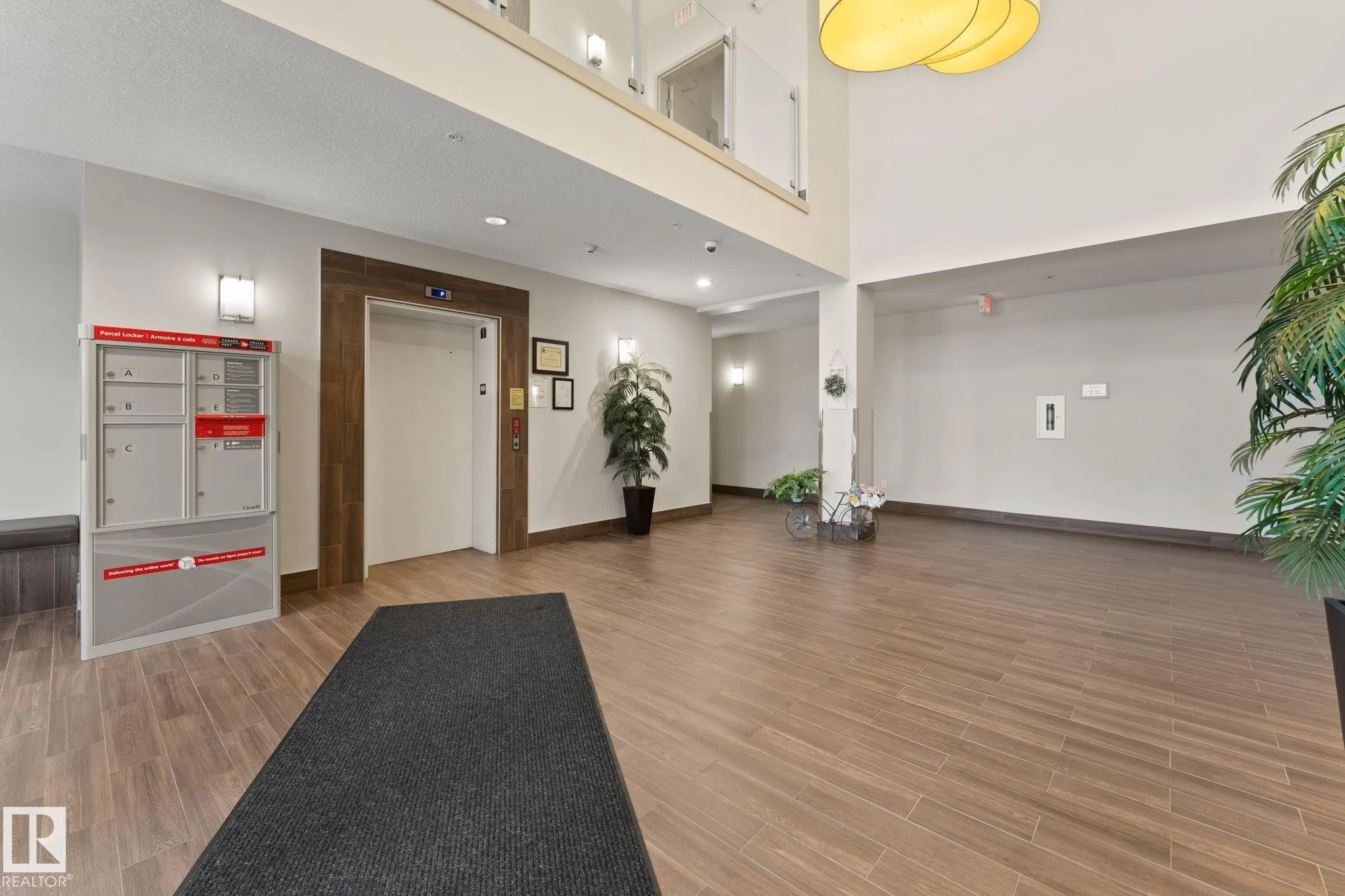 507 ALBANY Way