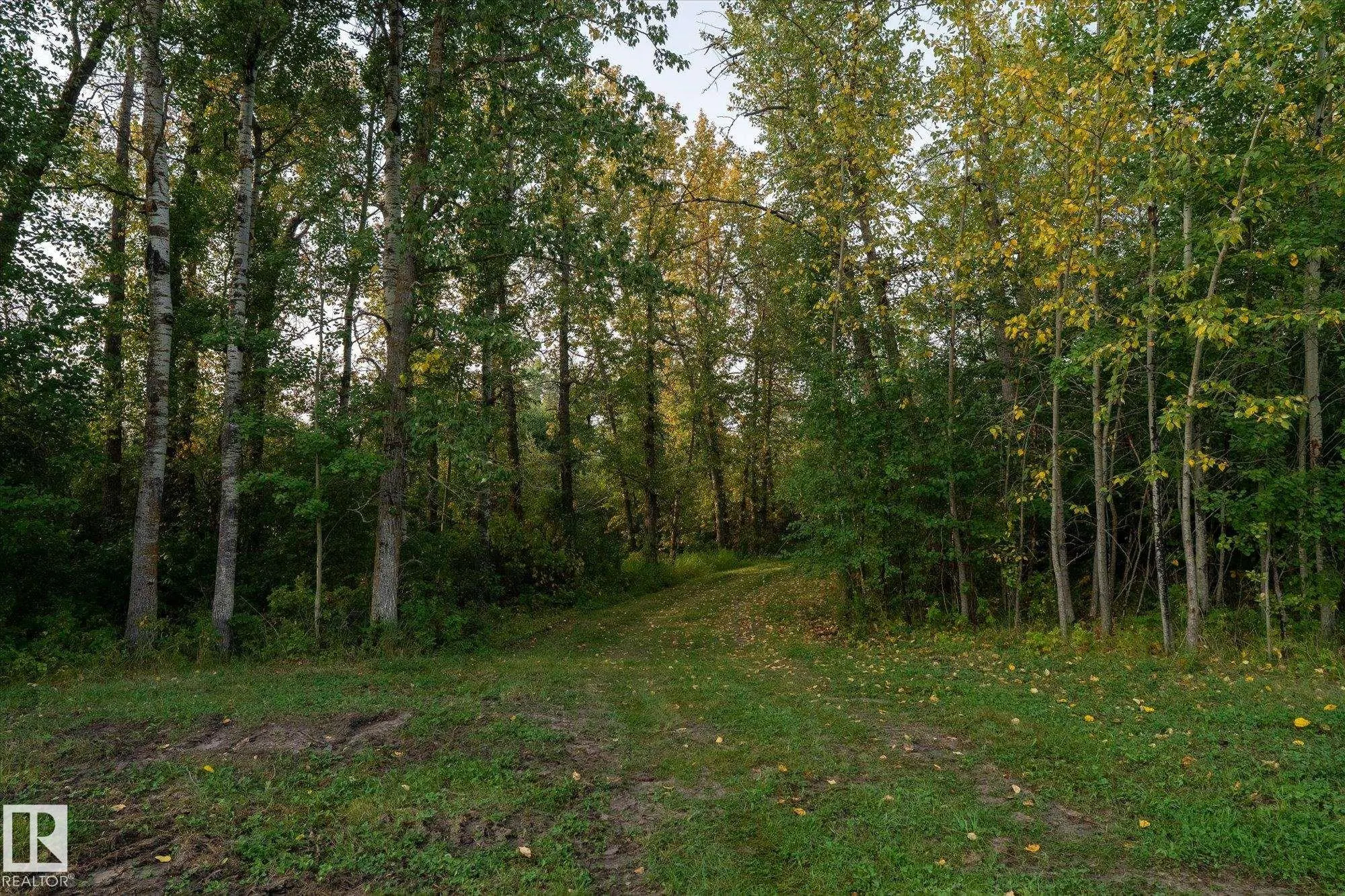 Twp Rd 572A HWY 33