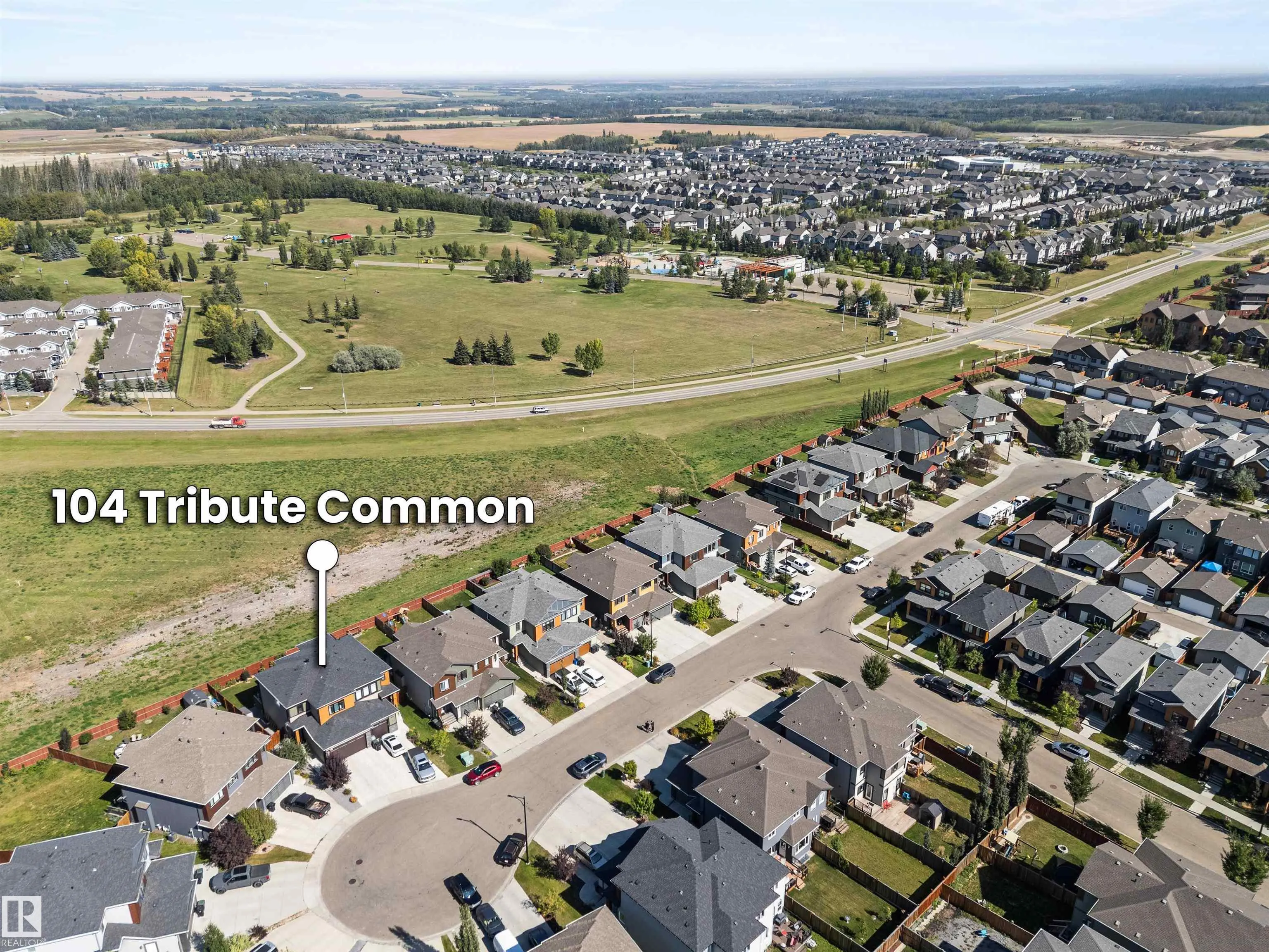104 TRIBUTE Common