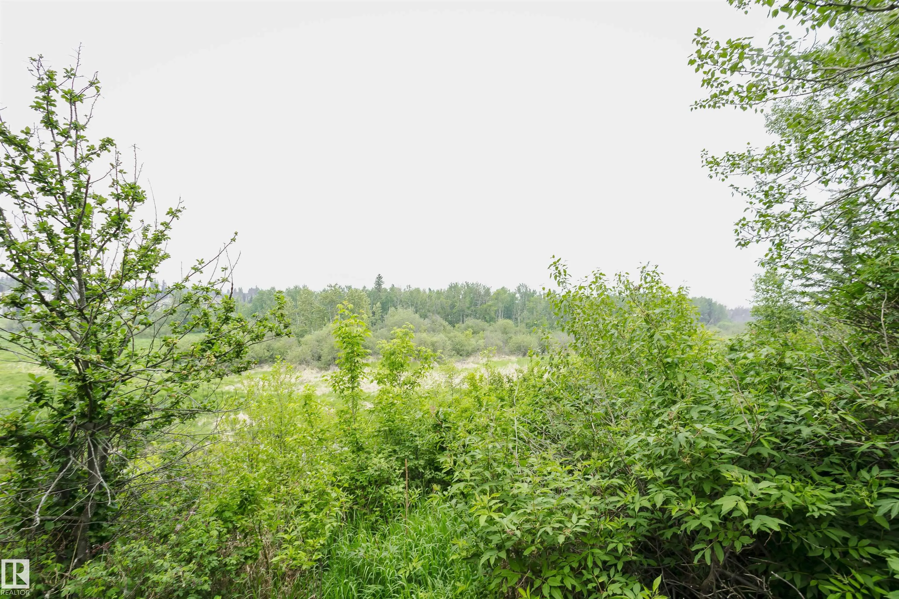 260 STURGEON Road