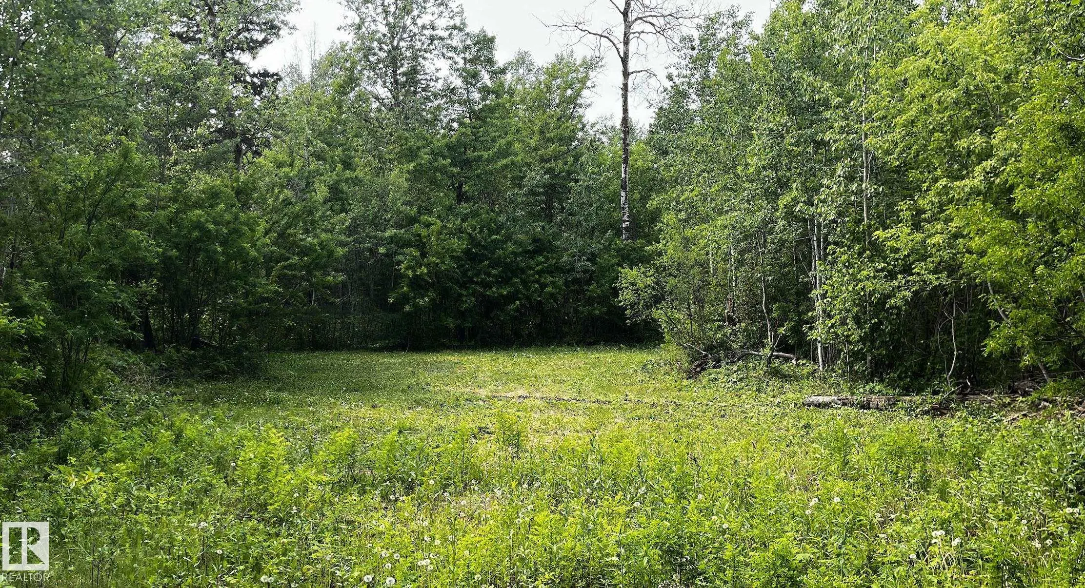 21061 wye Road