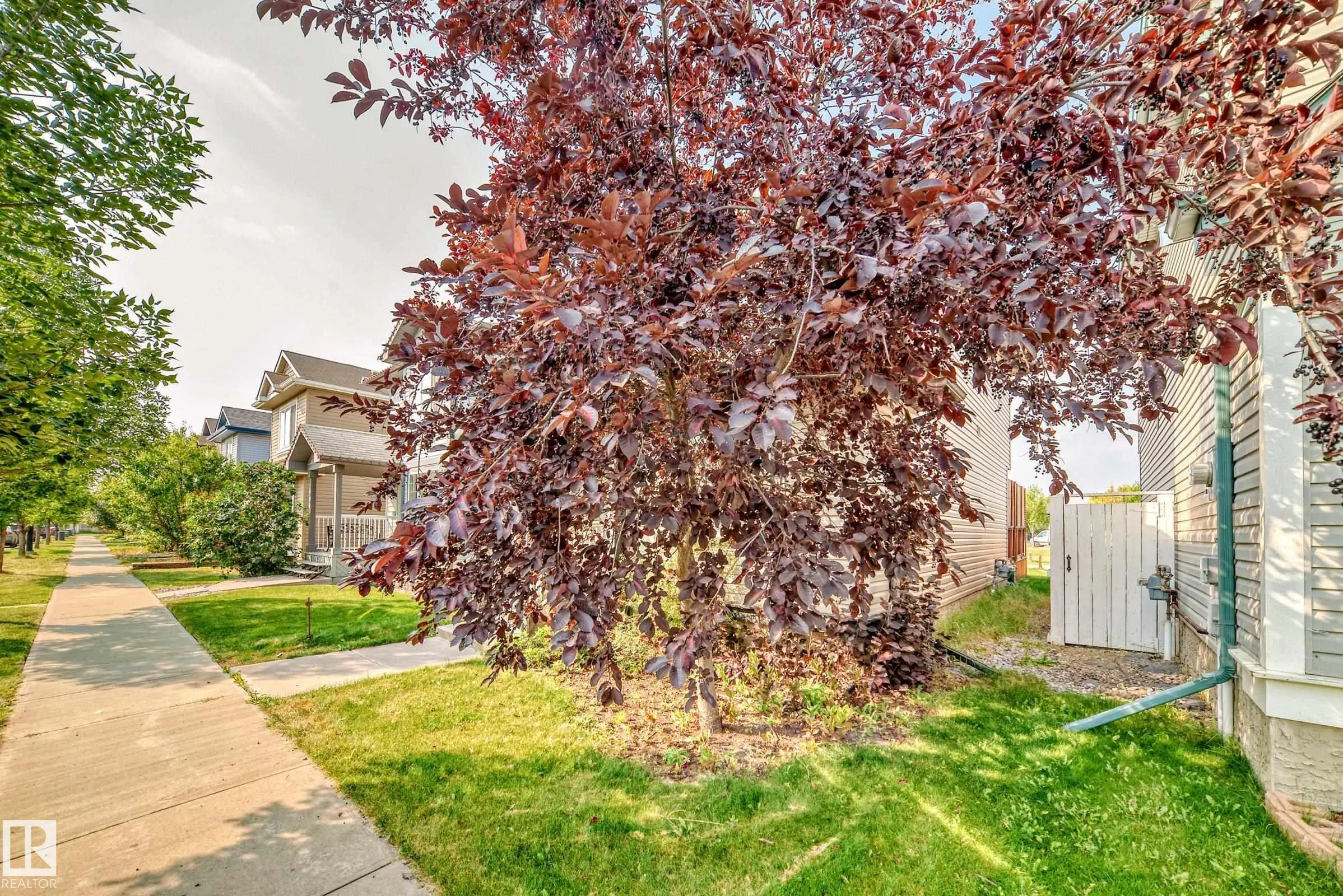 7707 SCHMID Crescent