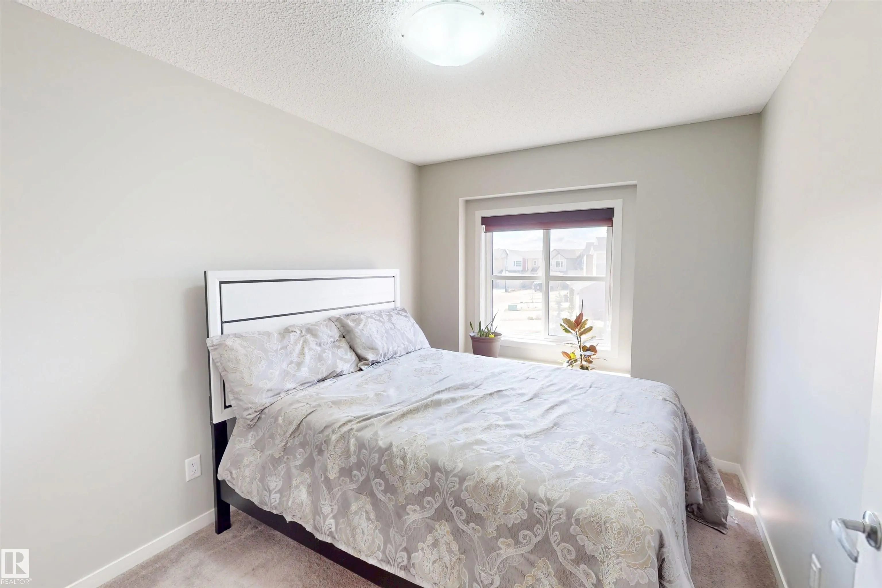 3319 CHECKNITA COMMON